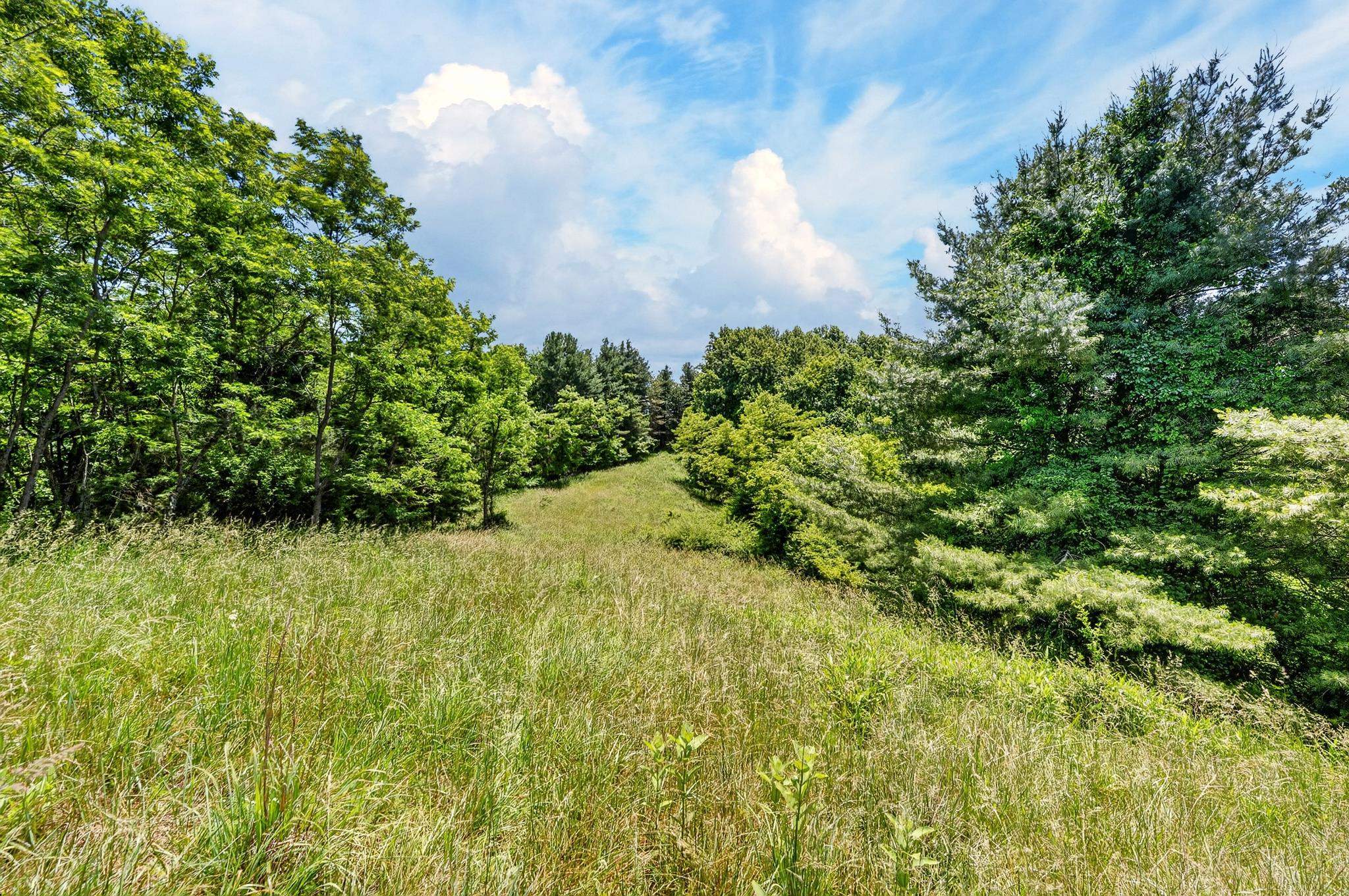 Tbd 50 Acres Thunderstruck Road NE Floyd VA 24091