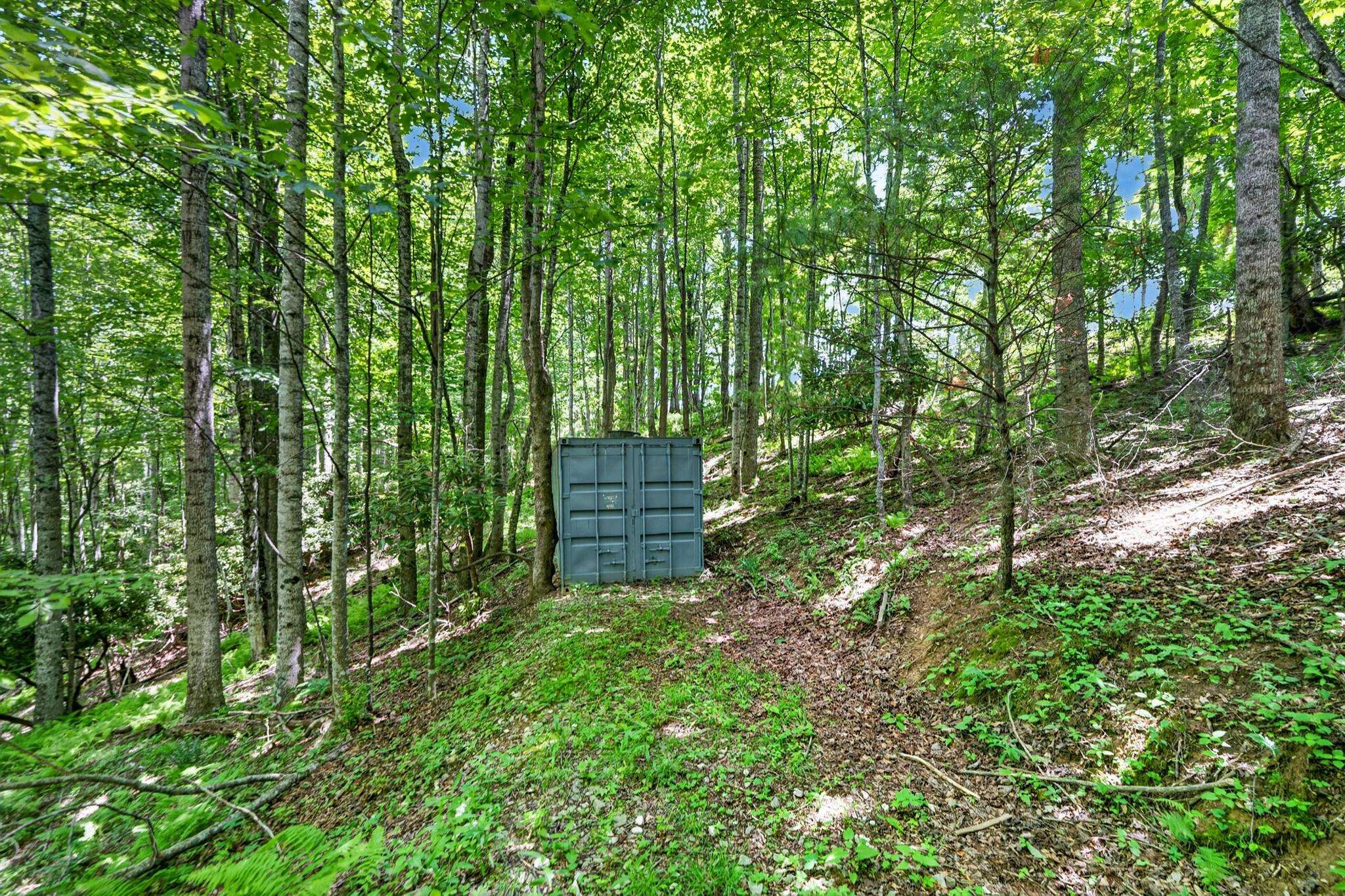 Tbd 50 Acres Thunderstruck Road NE Floyd VA 24091