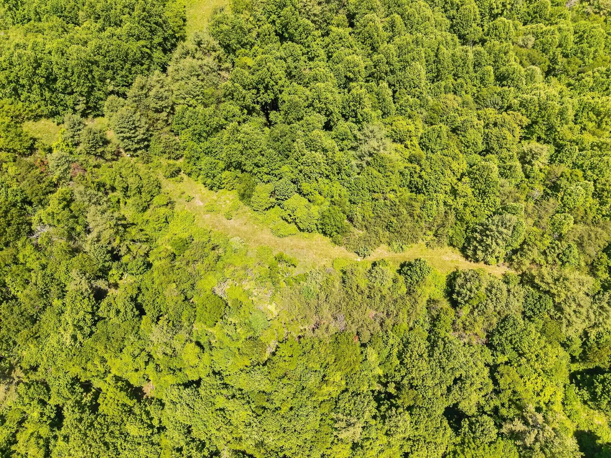 Tbd 50 Acres Thunderstruck Road NE Floyd VA 24091