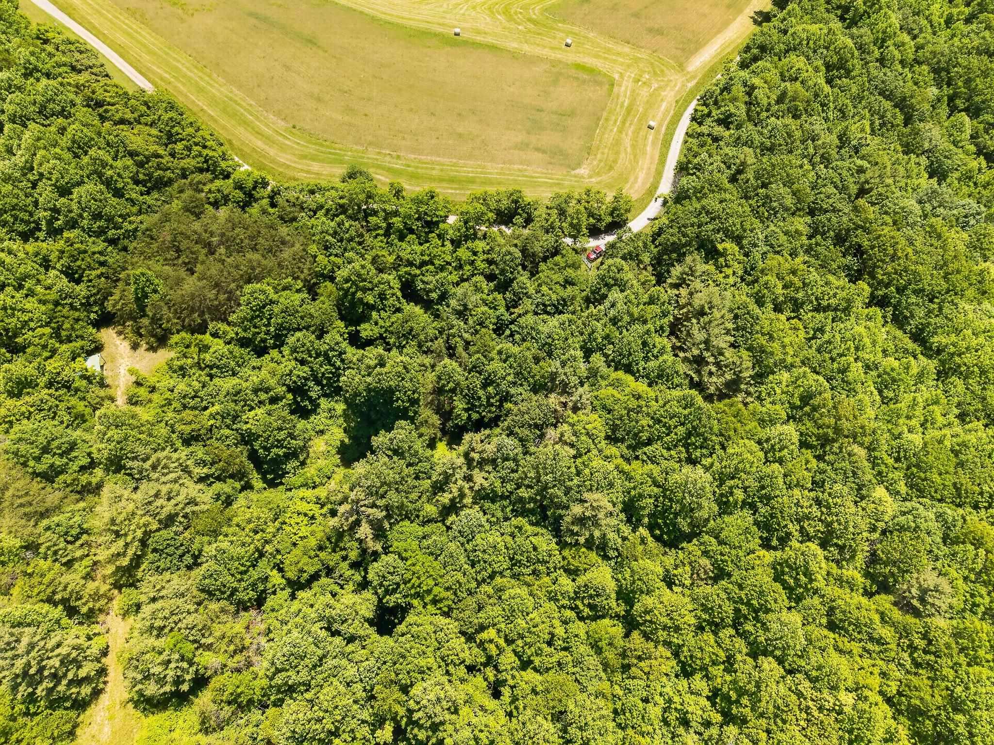 Tbd 50 Acres Thunderstruck Road NE Floyd VA 24091