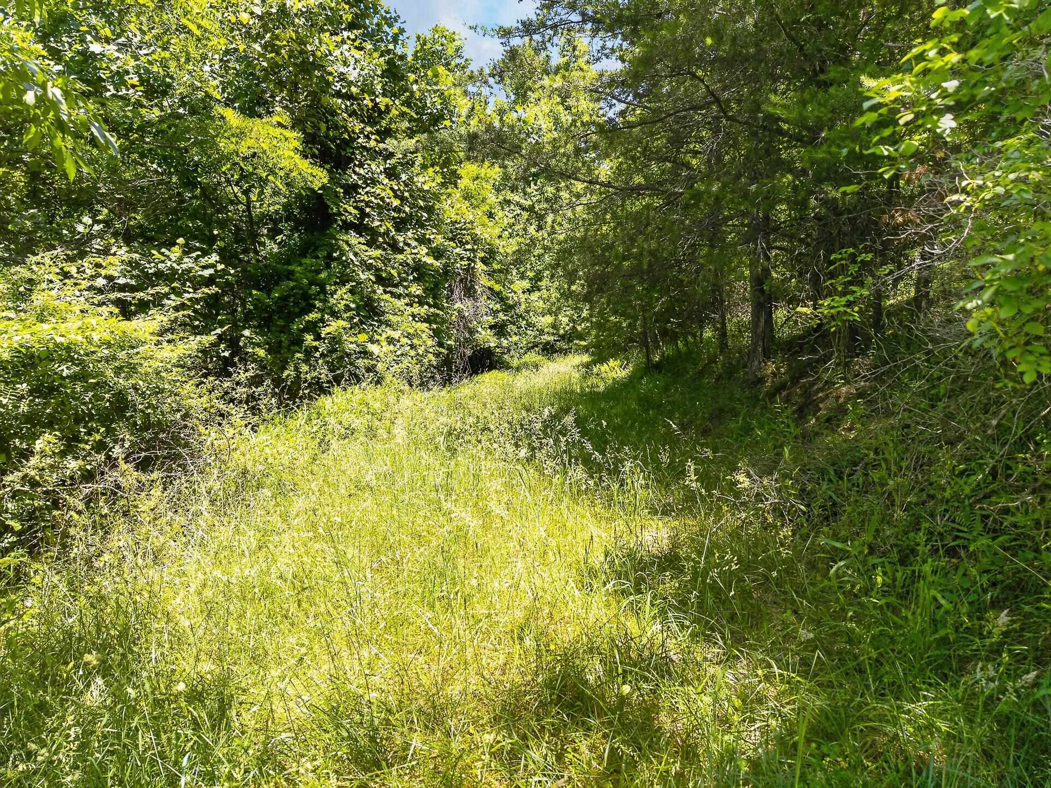 Tbd 50 Acres Thunderstruck Road NE Floyd VA 24091