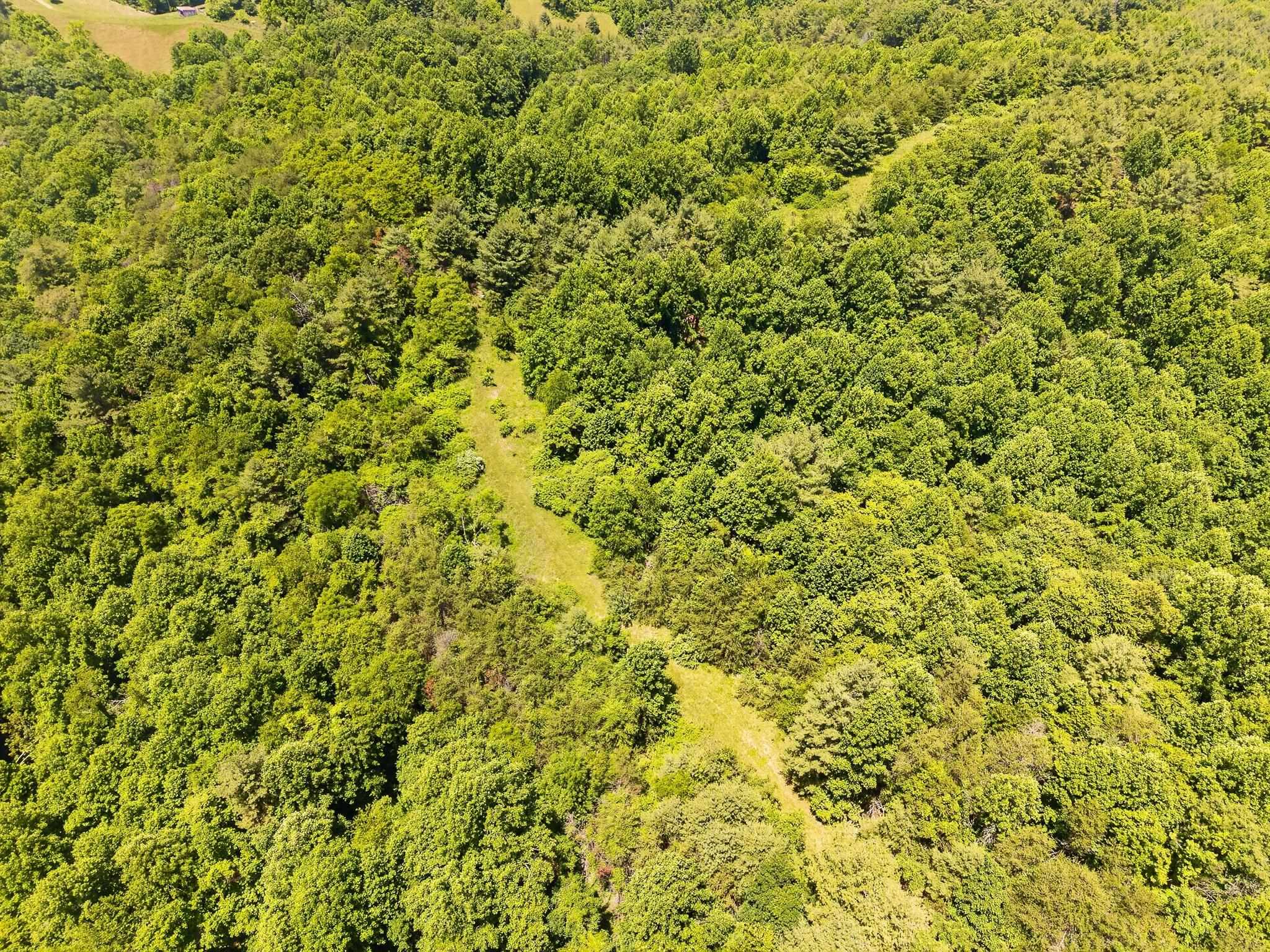 Tbd 50 Acres Thunderstruck Road NE Floyd VA 24091