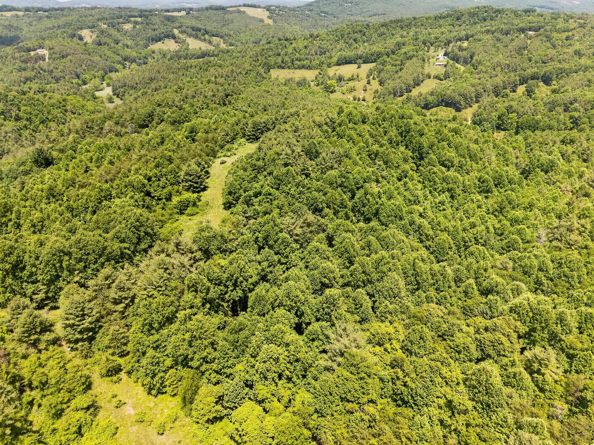 Tbd 50 Acres Thunderstruck Road NE Floyd VA 24091