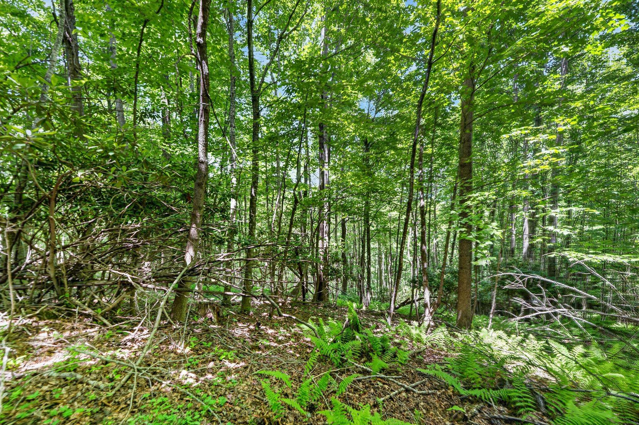 Tbd 50 Acres Thunderstruck Road NE Floyd VA 24091