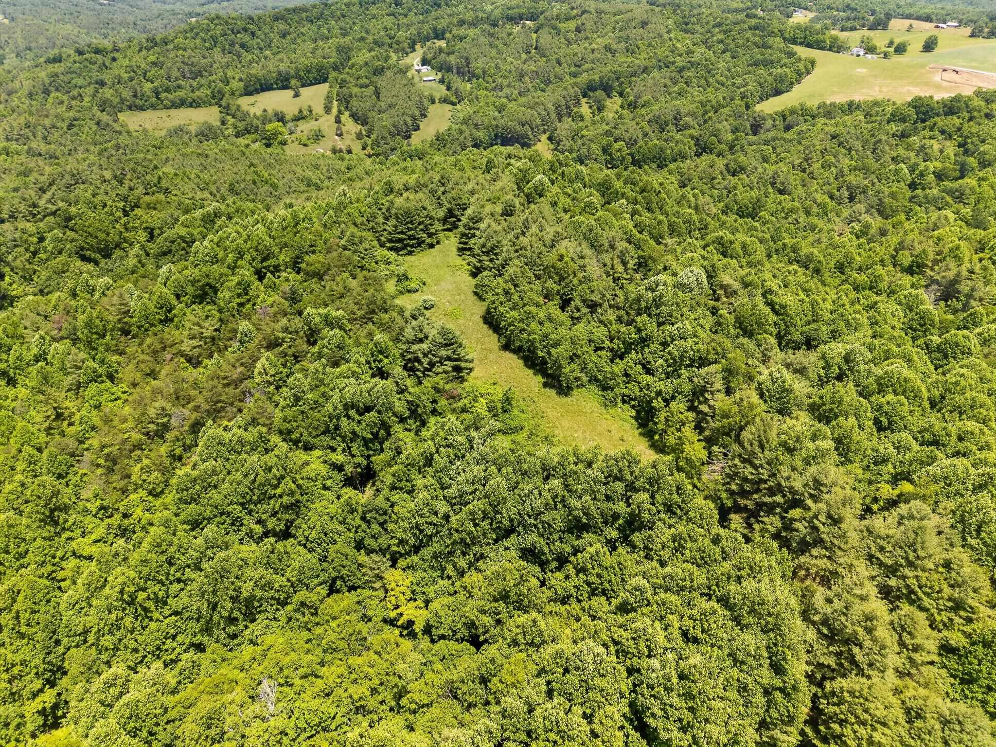 Tbd 50 Acres Thunderstruck Road NE Floyd VA 24091