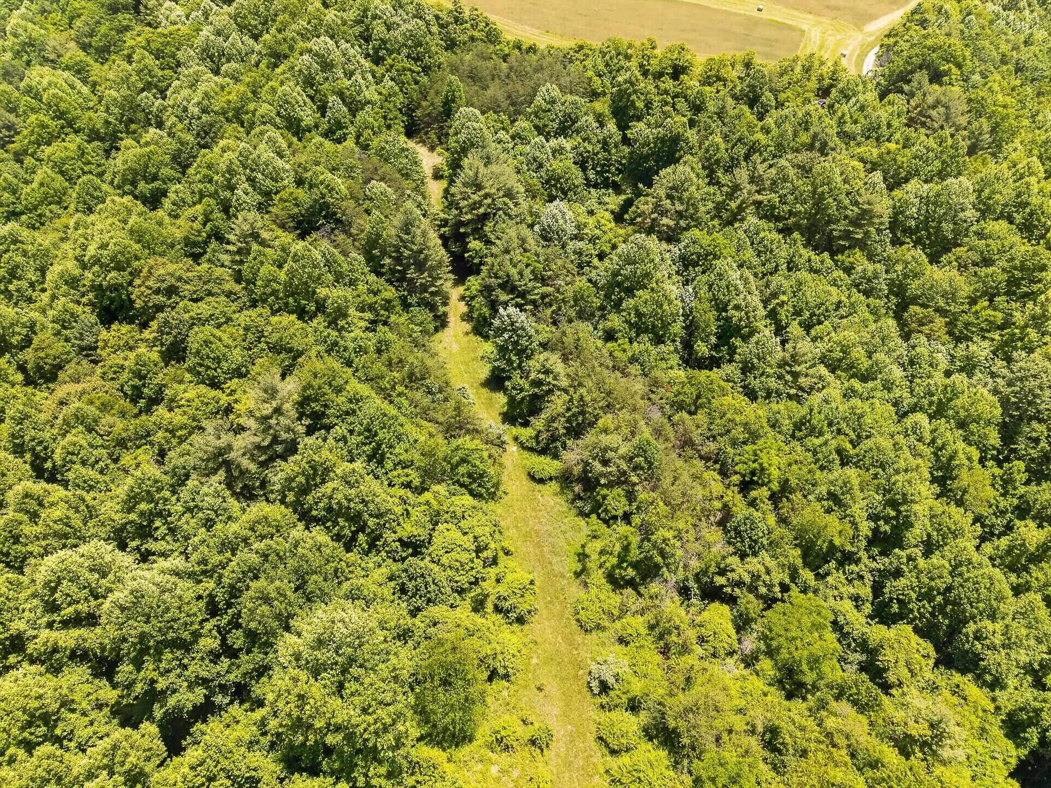 Tbd 50 Acres Thunderstruck Road NE Floyd VA 24091
