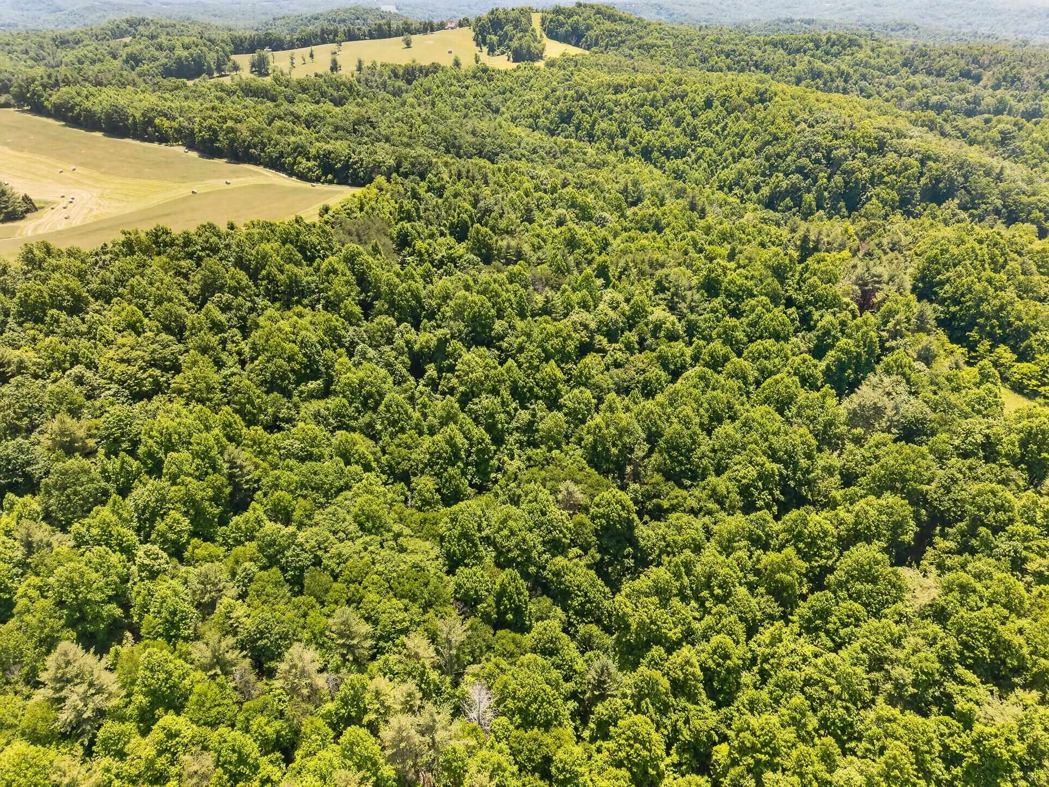 Tbd 50 Acres Thunderstruck Road NE Floyd VA 24091