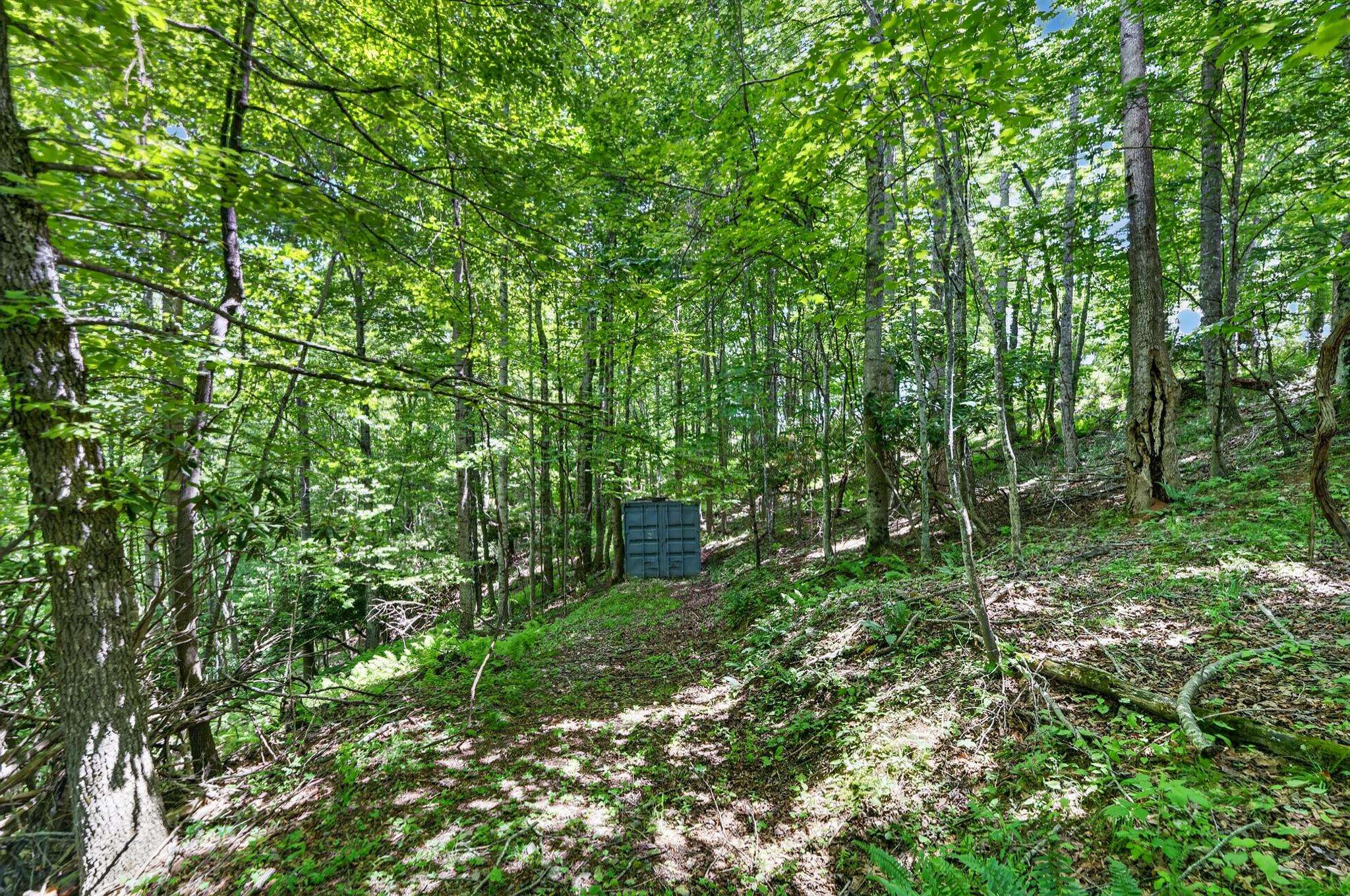 Tbd 50 Acres Thunderstruck Road NE Floyd VA 24091