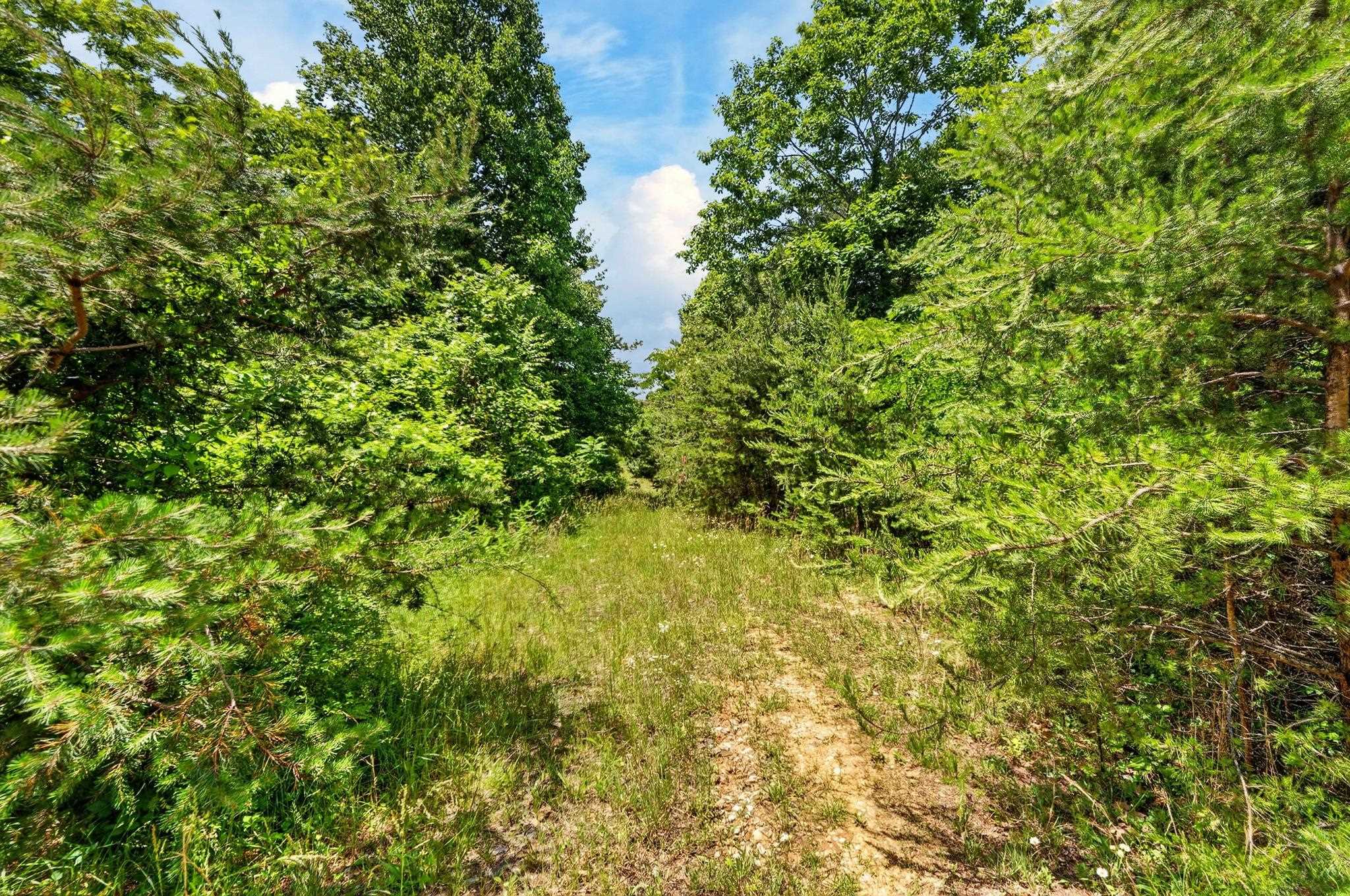 Tbd 50 Acres Thunderstruck Road NE Floyd VA 24091
