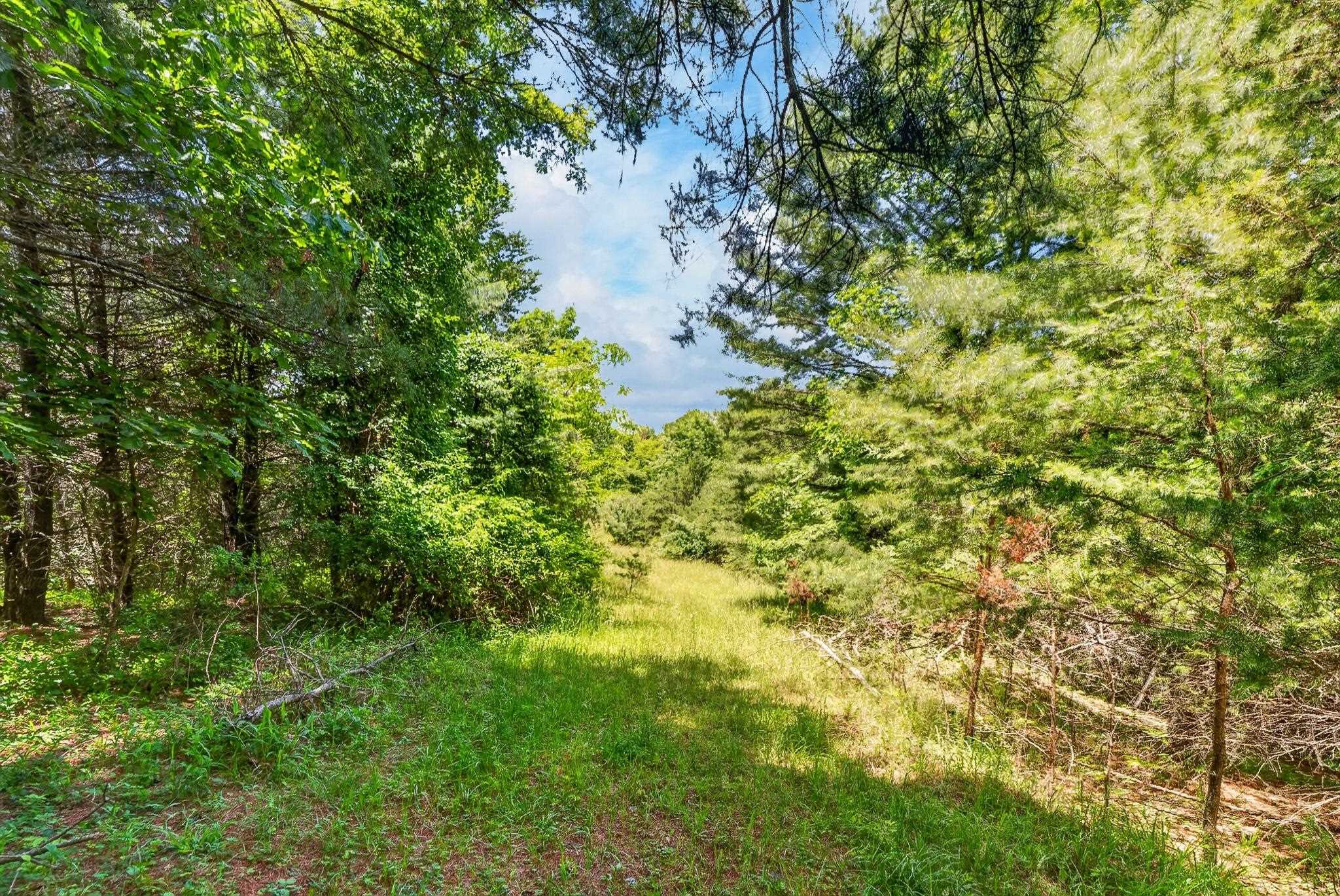 Tbd 50 Acres Thunderstruck Road NE Floyd VA 24091