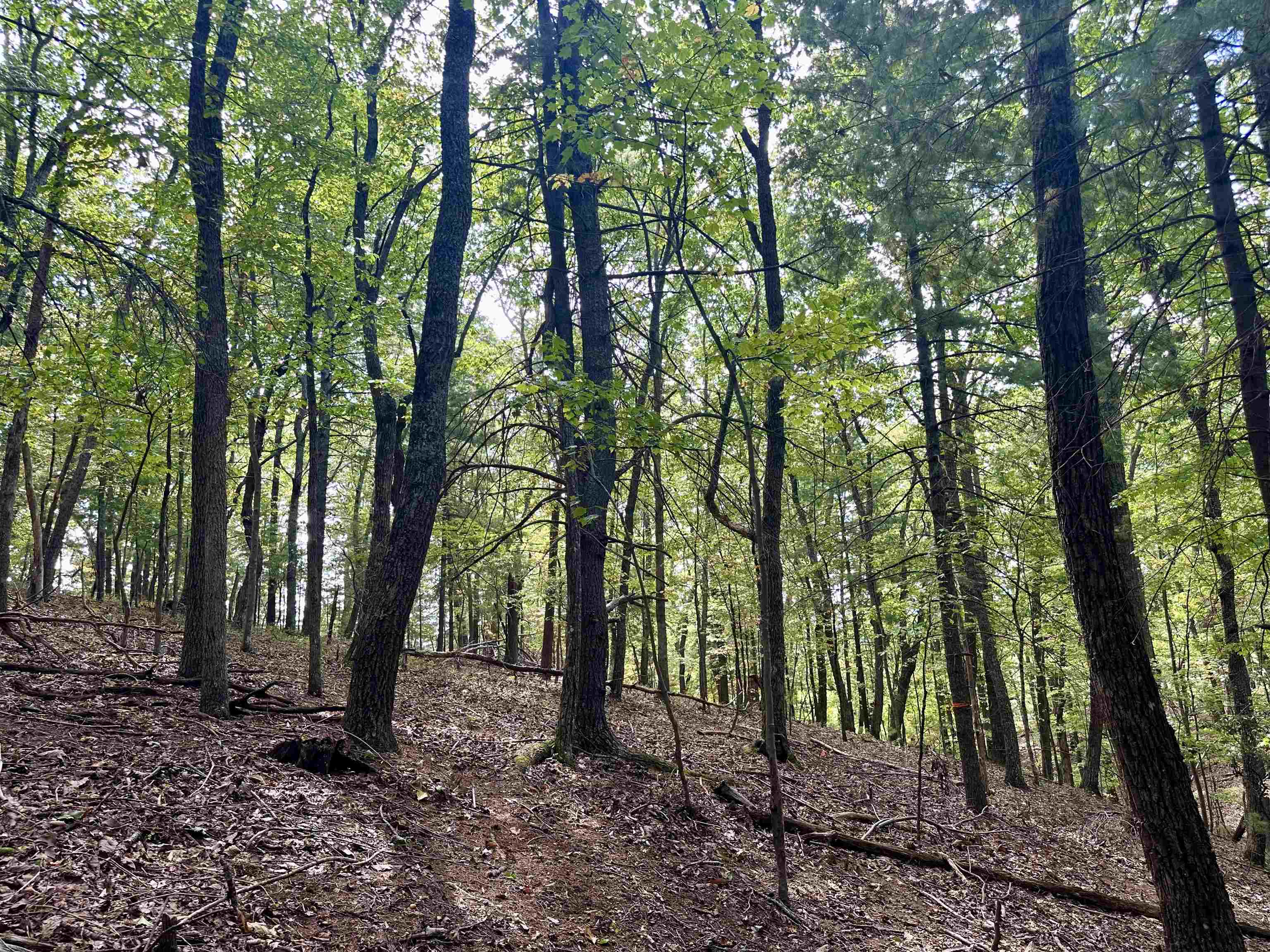 1030 Treetop Ridge Road Blacksburg VA 24060