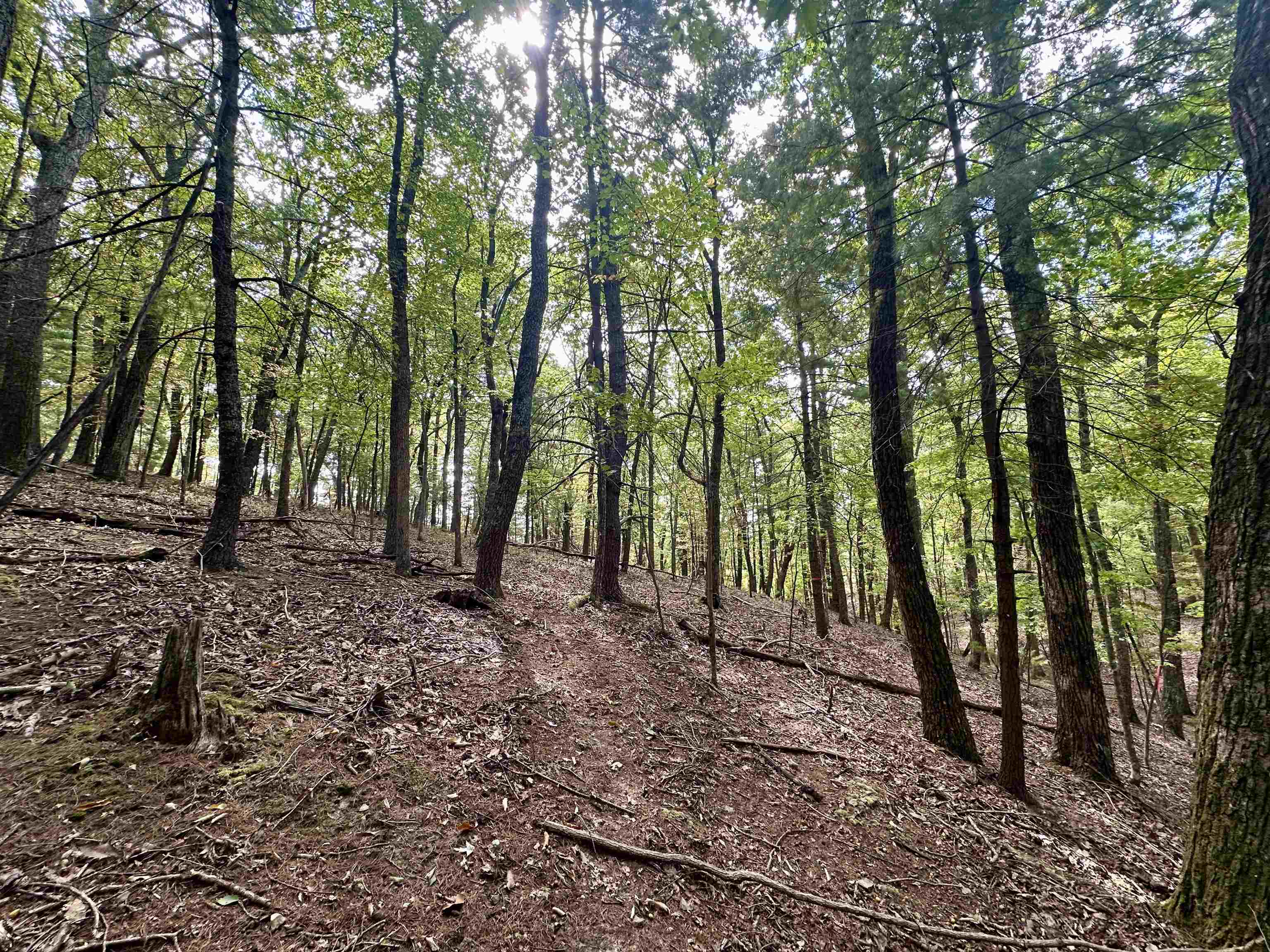 1030 Treetop Ridge Road Blacksburg VA 24060