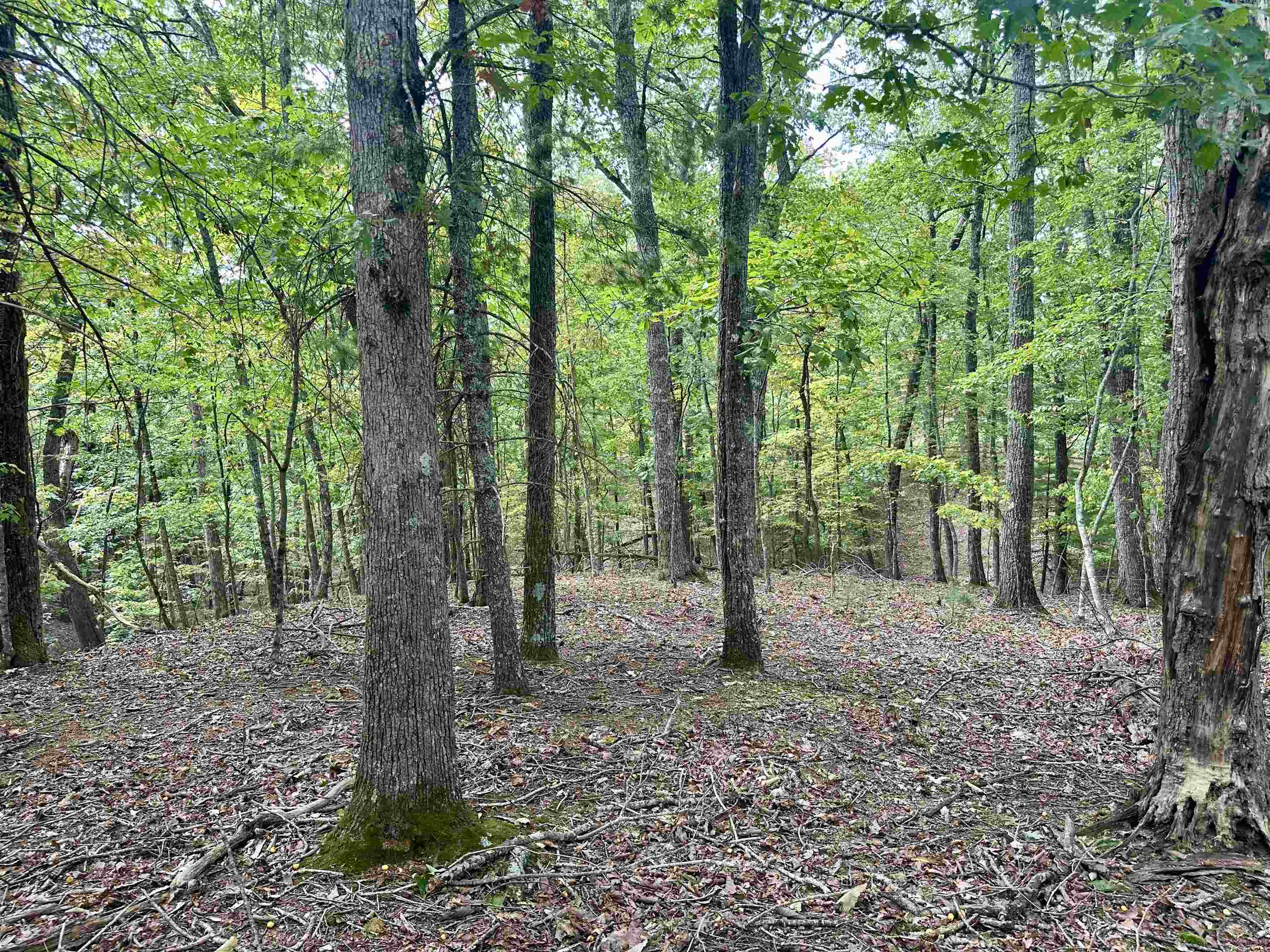 1030 Treetop Ridge Road Blacksburg VA 24060