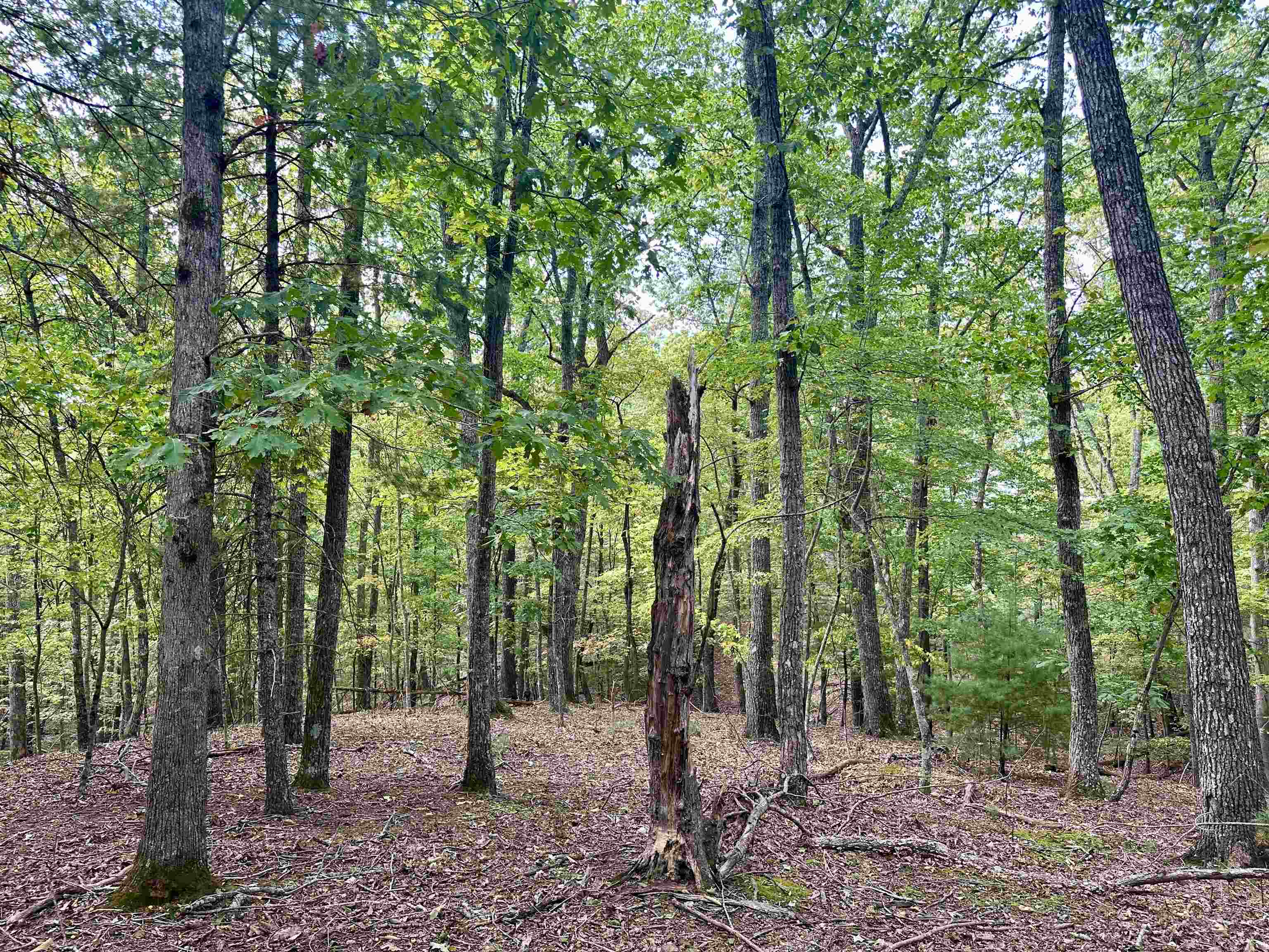 1030 Treetop Ridge Road Blacksburg VA 24060