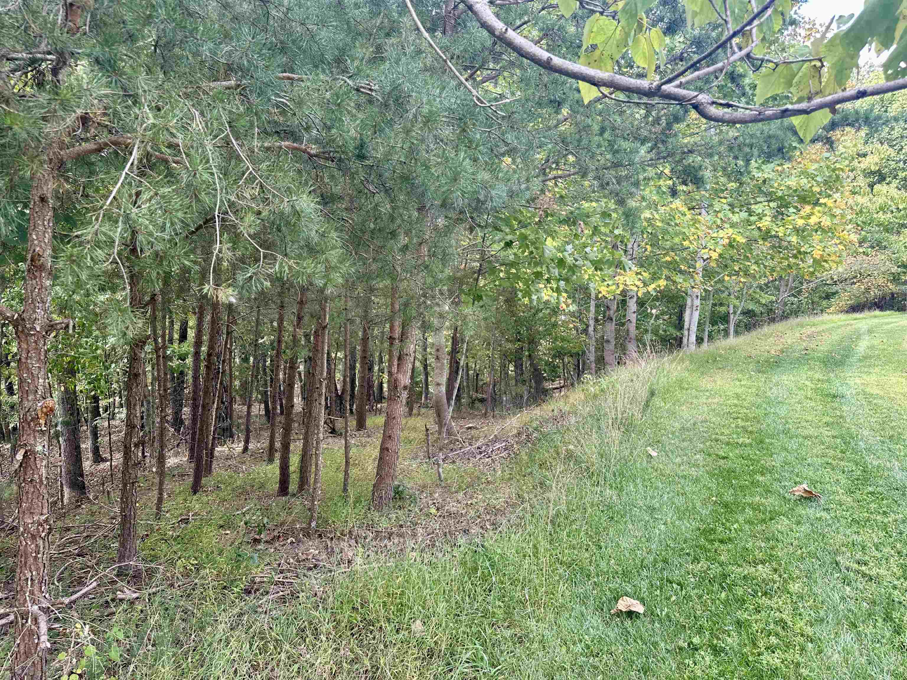 1030 Treetop Ridge Road Blacksburg VA 24060