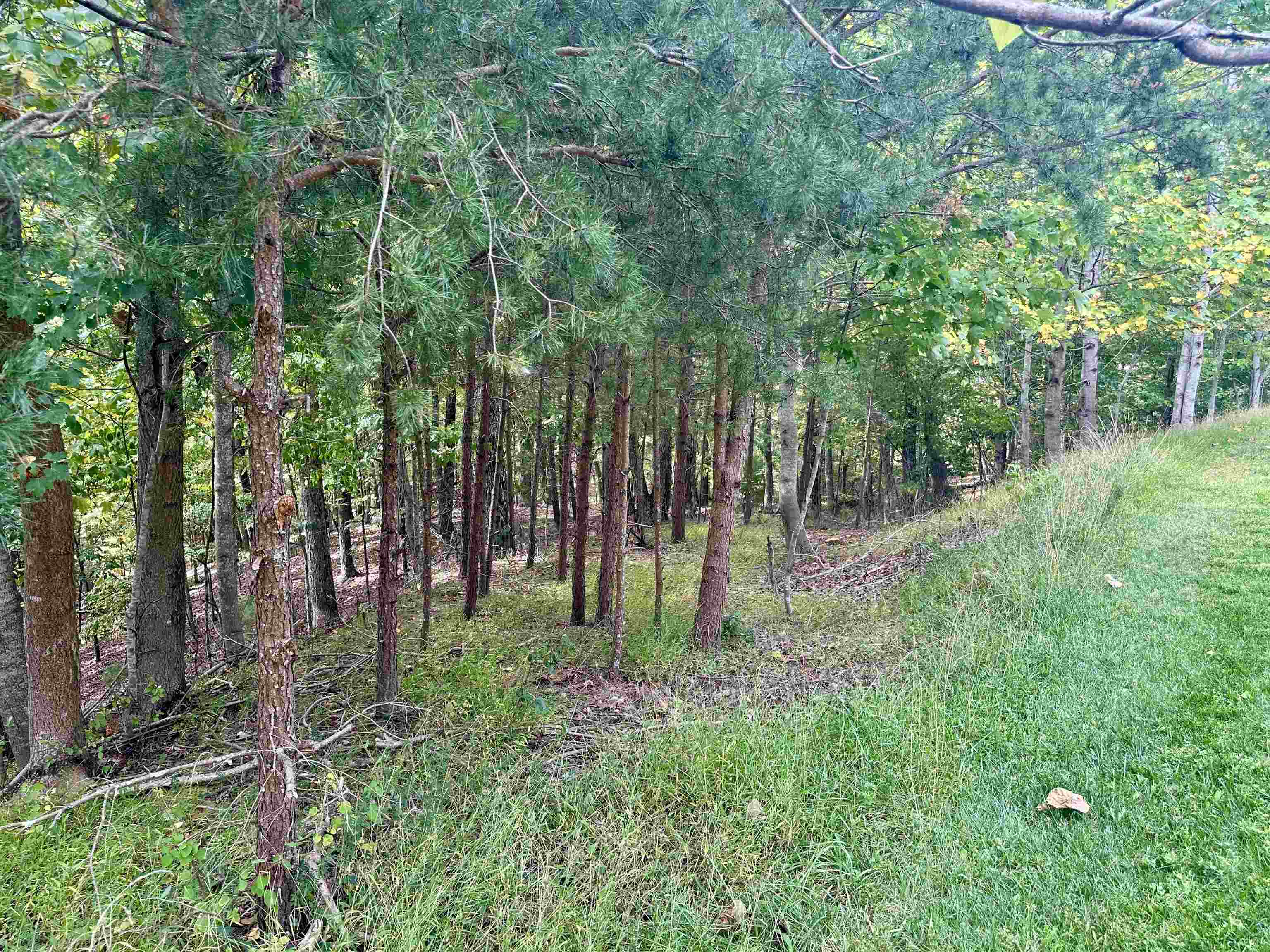 1030 Treetop Ridge Road Blacksburg VA 24060