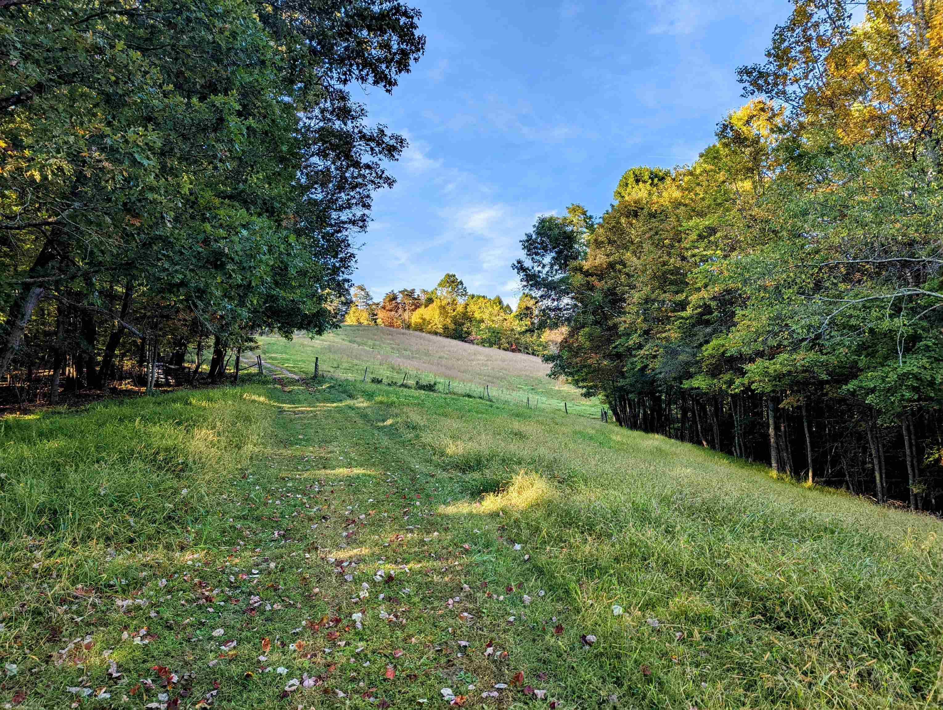 380 Laurel Creek Road Pilot VA 24138