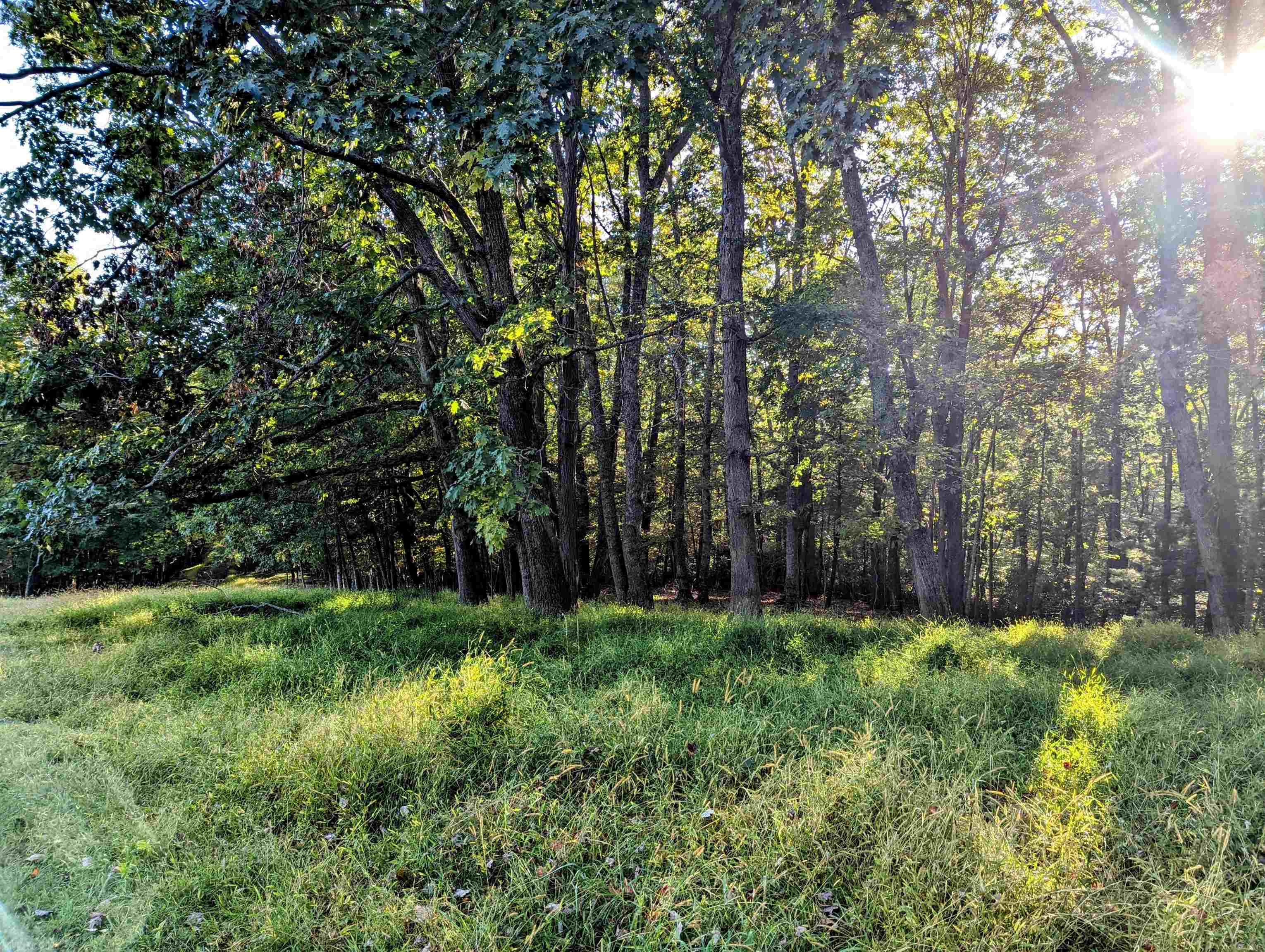 380 Laurel Creek Road Pilot VA 24138