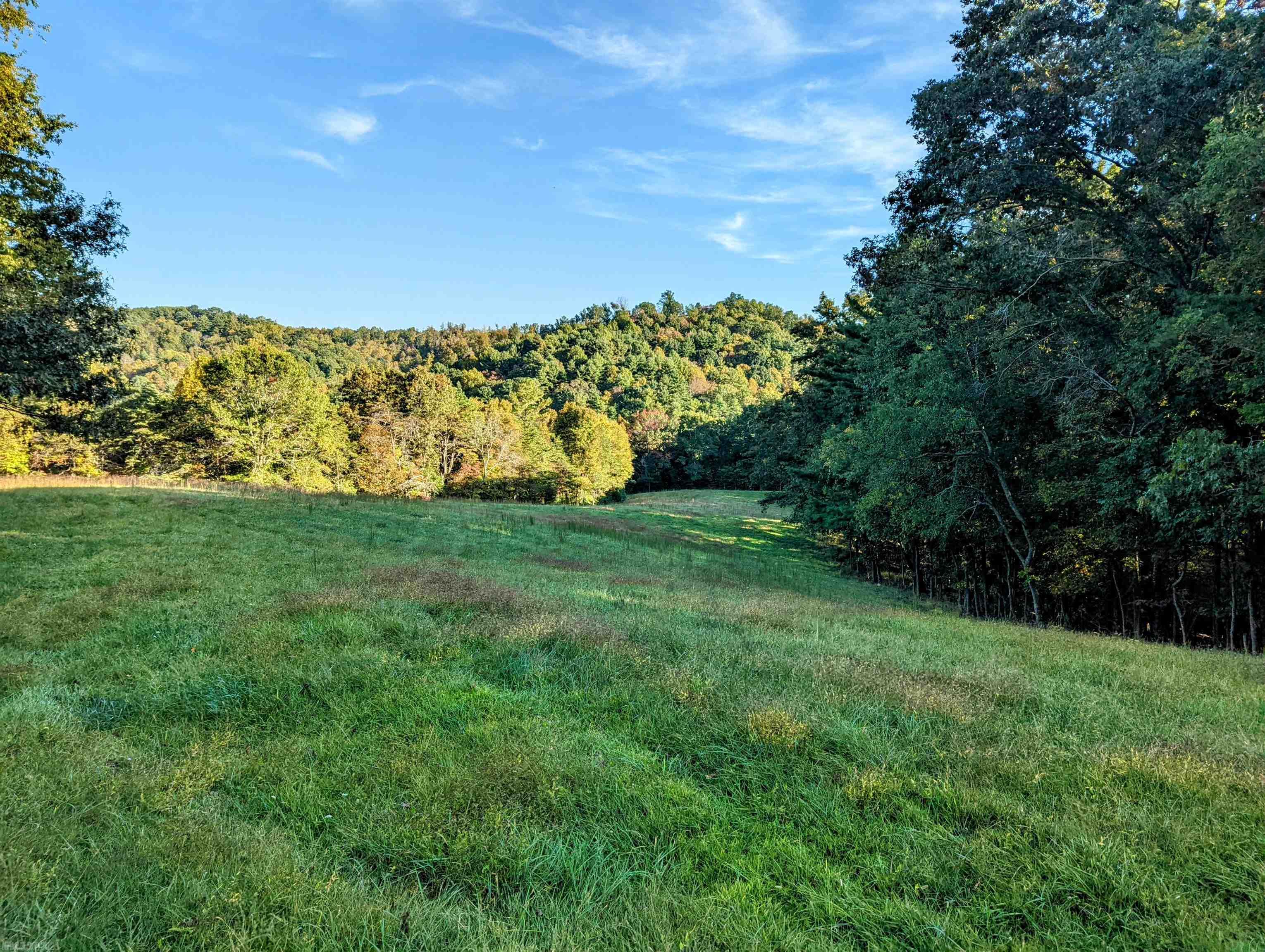 380 Laurel Creek Road Pilot VA 24138