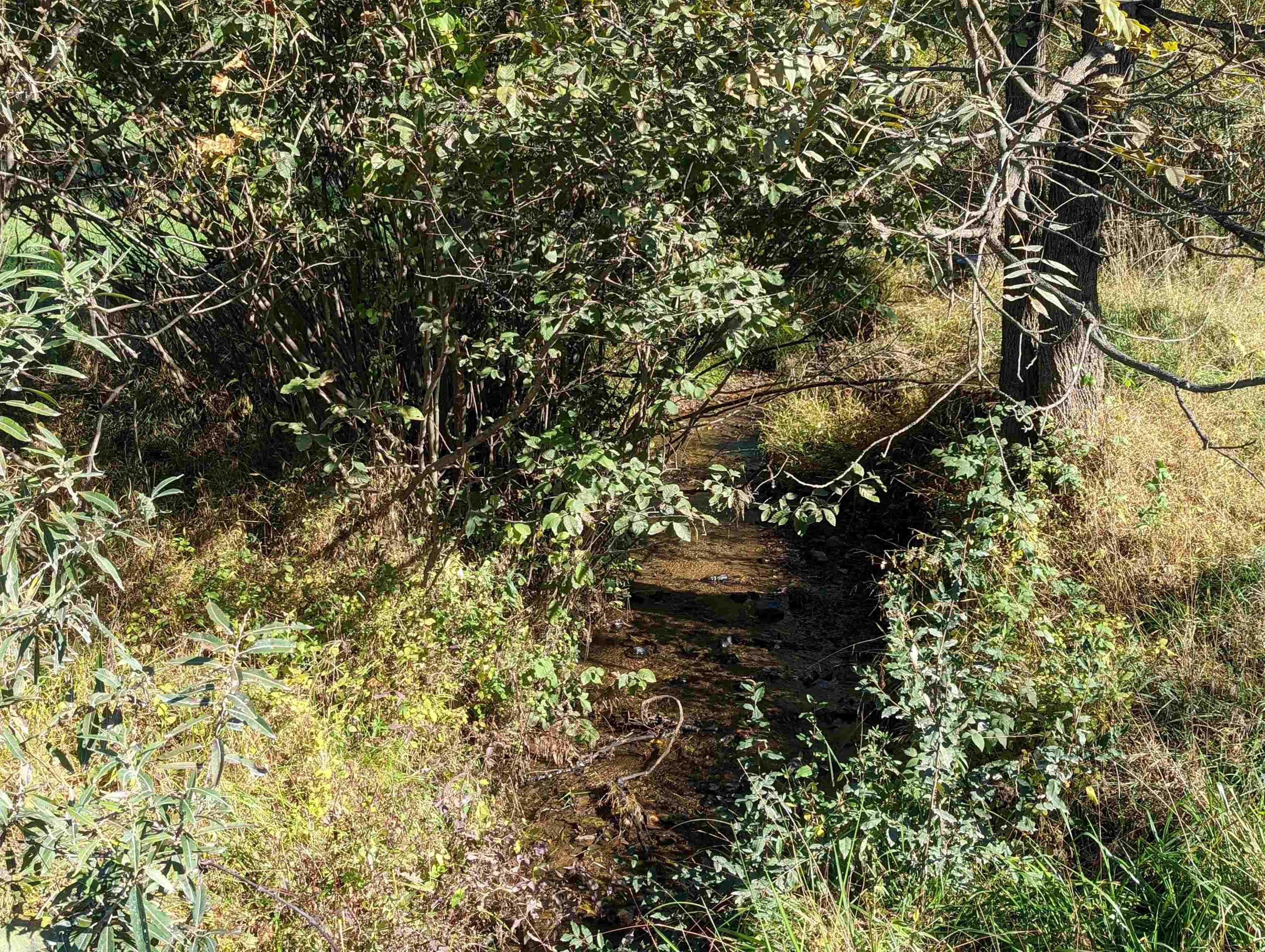 380 Laurel Creek Road Pilot VA 24138