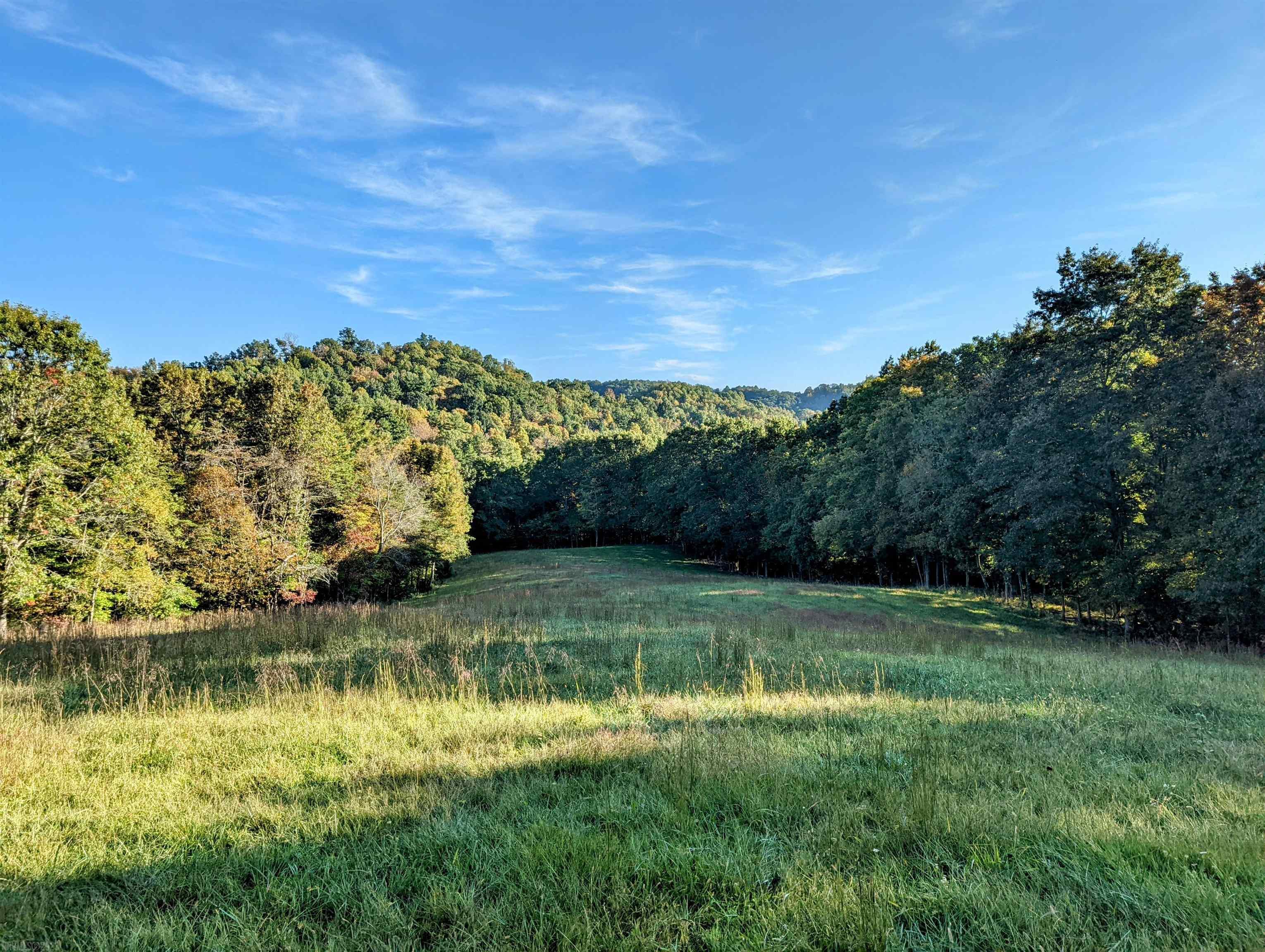 380 Laurel Creek Road Pilot VA 24138