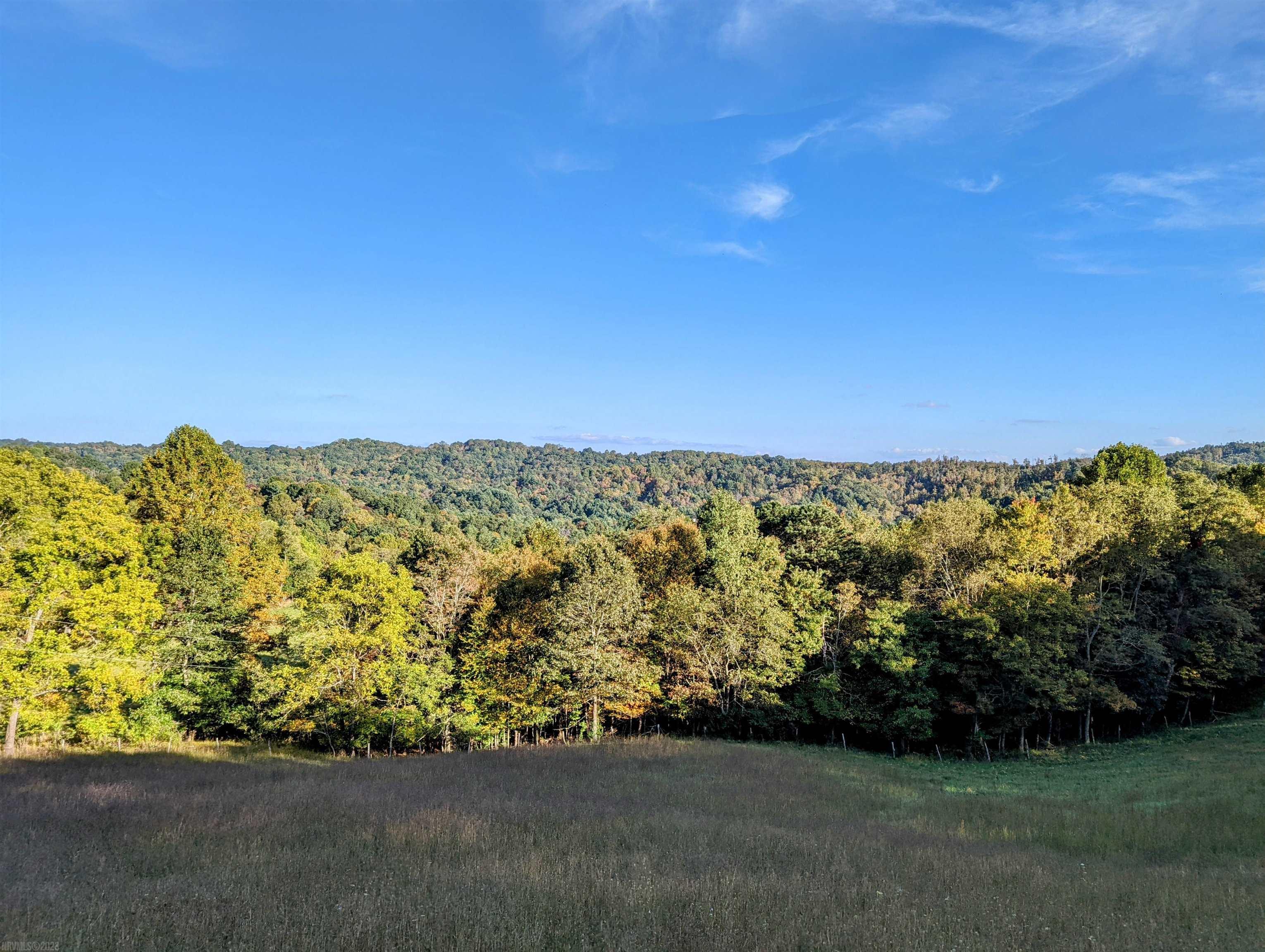 380 Laurel Creek Road Pilot VA 24138