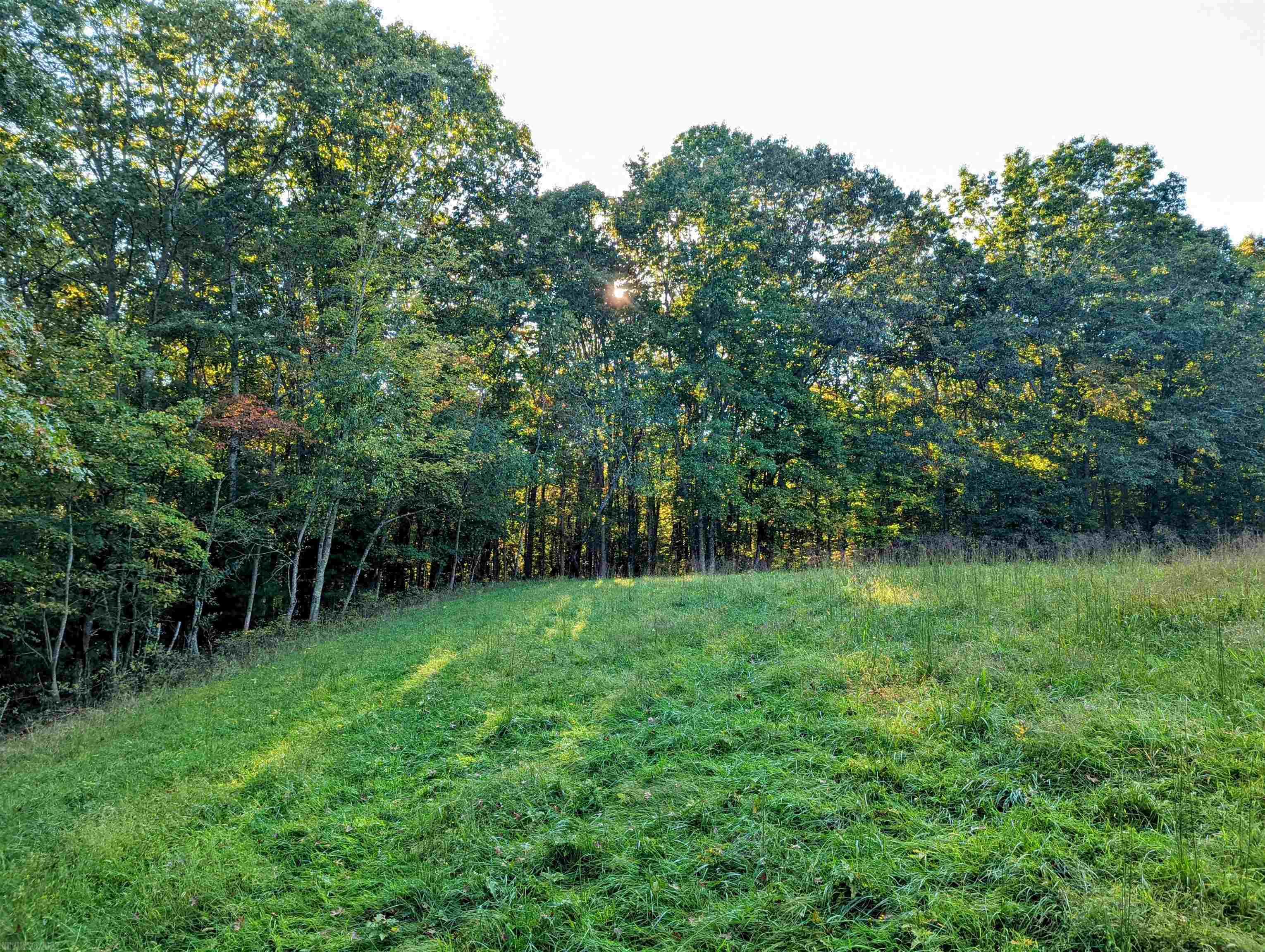 380 Laurel Creek Road Pilot VA 24138