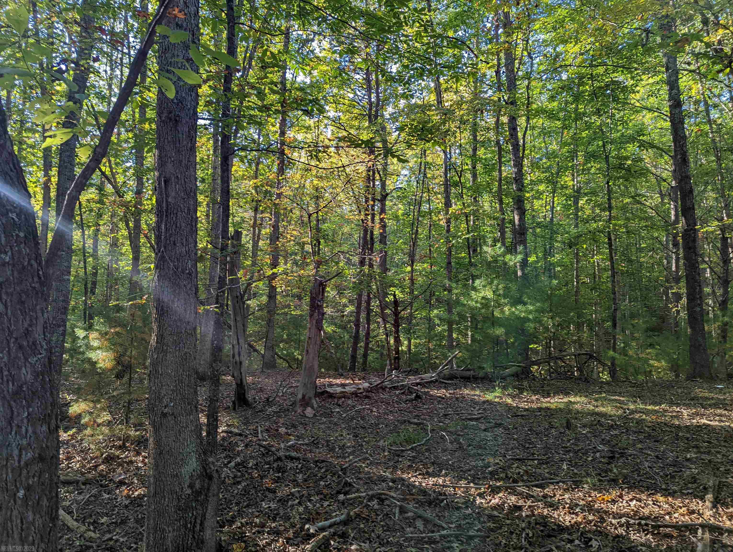 380 Laurel Creek Road Pilot VA 24138