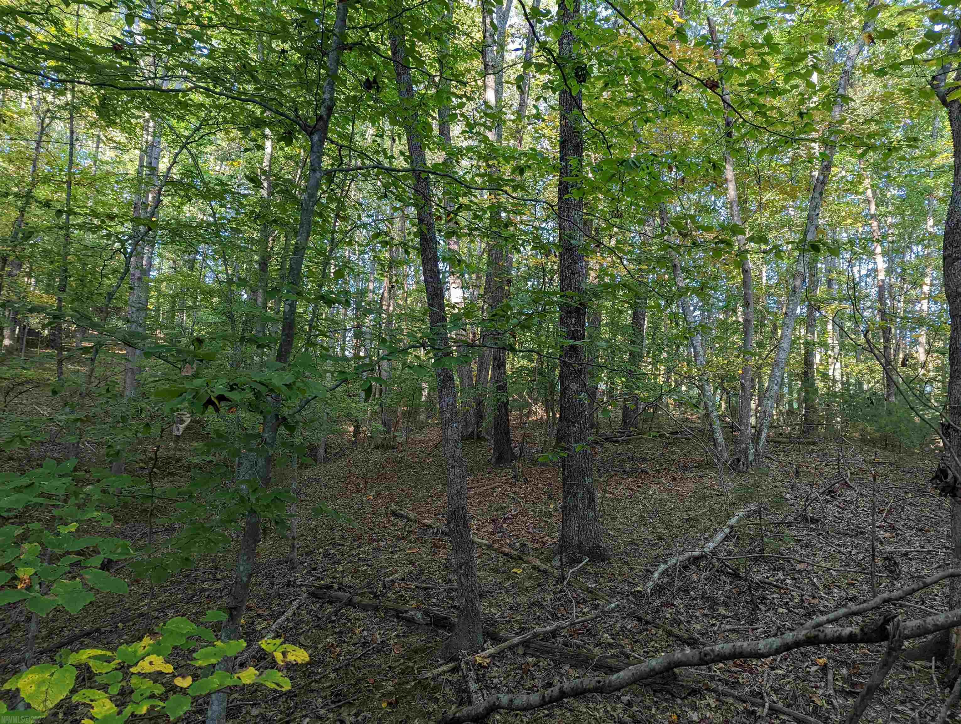 380 Laurel Creek Road Pilot VA 24138