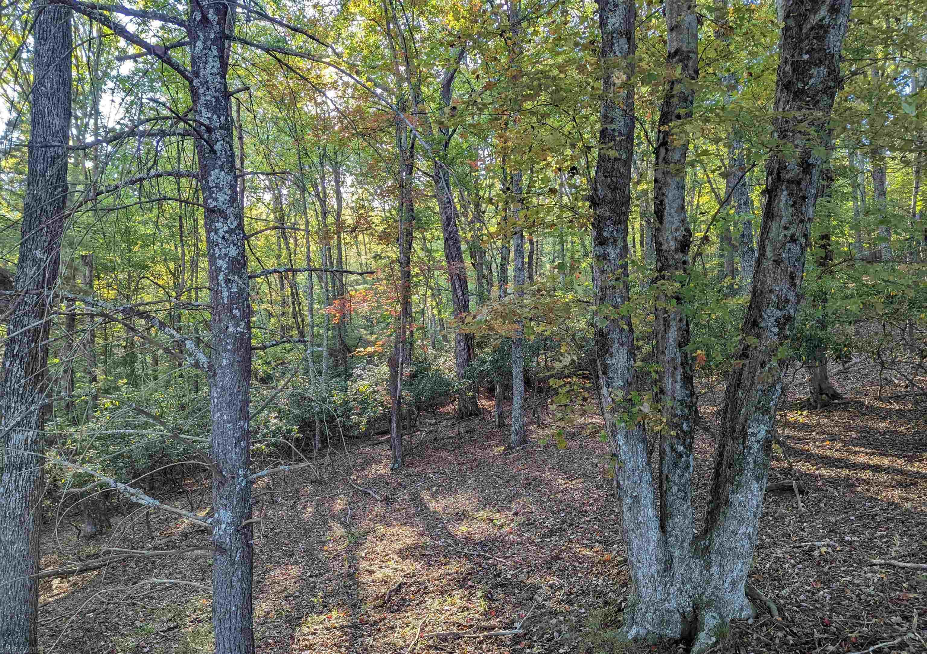 380 Laurel Creek Road Pilot VA 24138