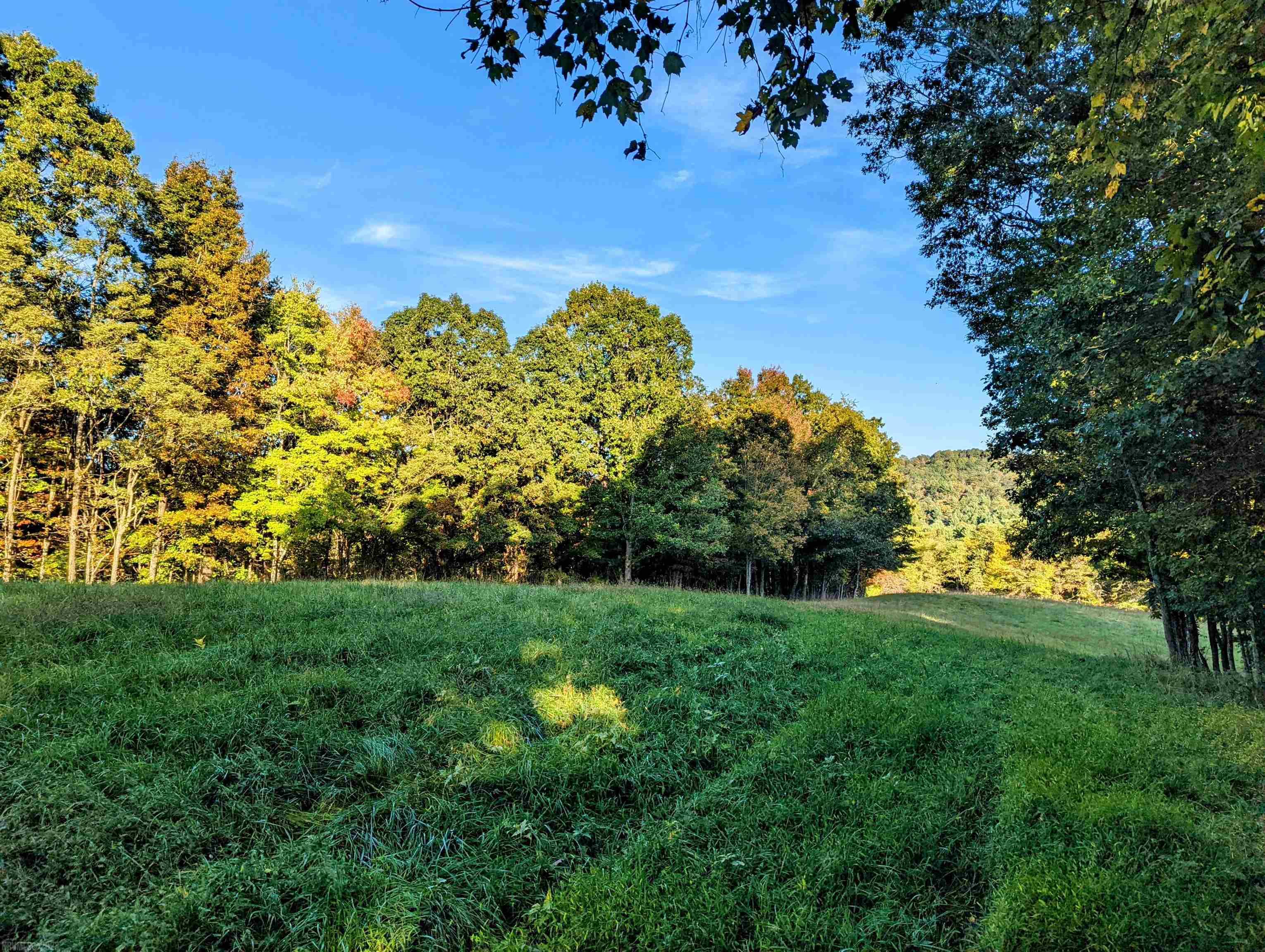 380 Laurel Creek Road Pilot VA 24138