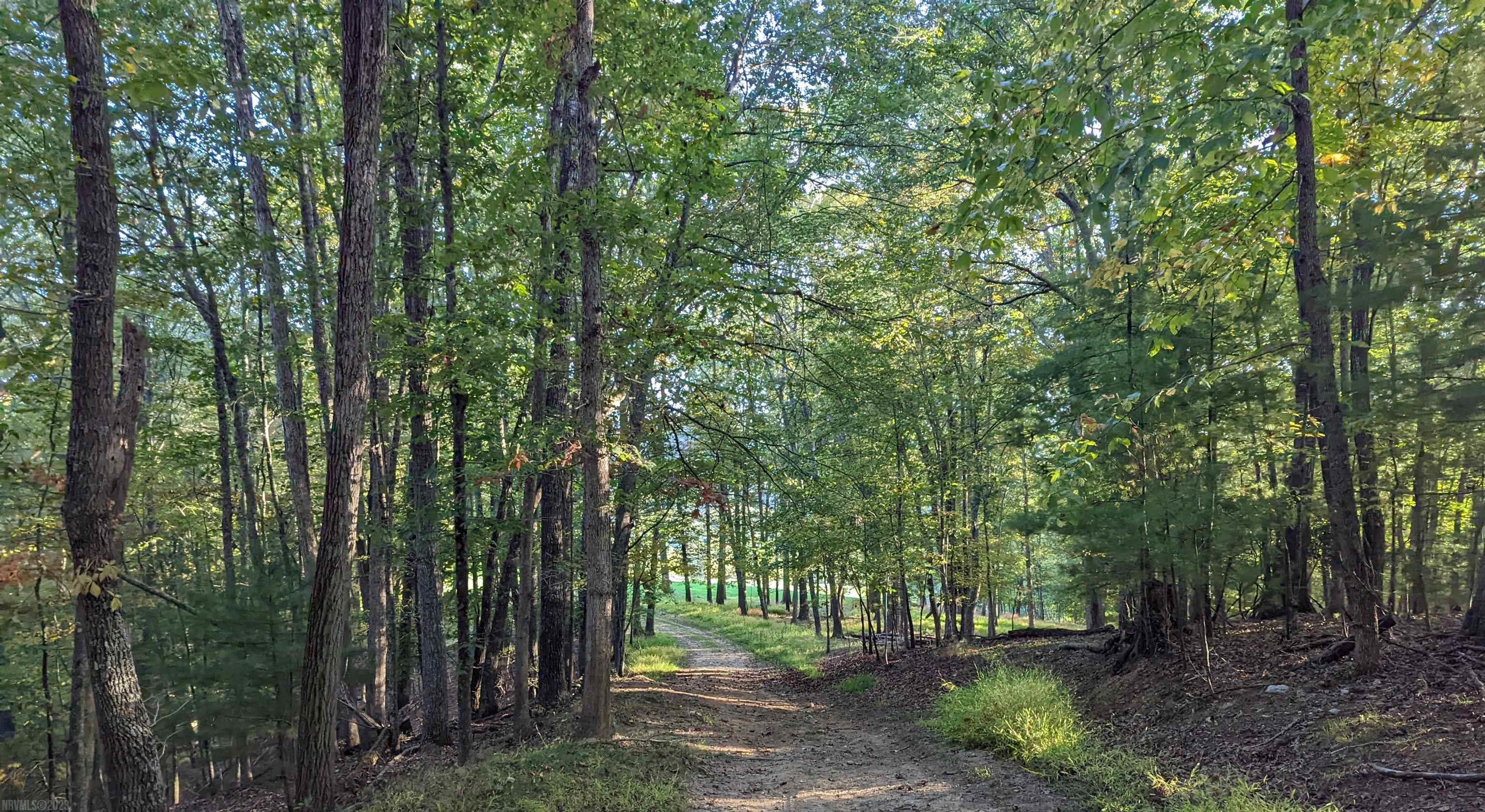 380 Laurel Creek Road Pilot VA 24138