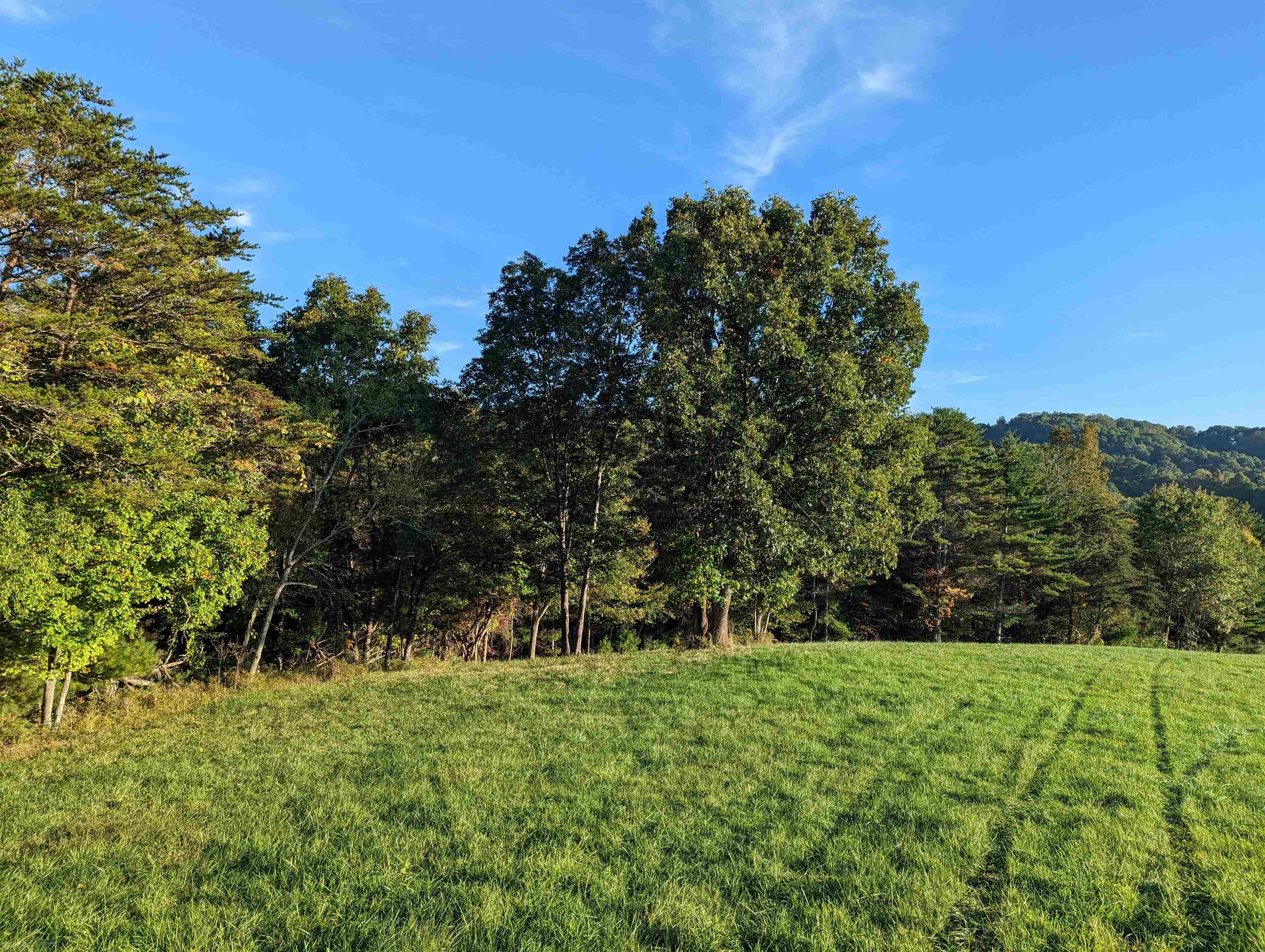 380 Laurel Creek Road Pilot VA 24138