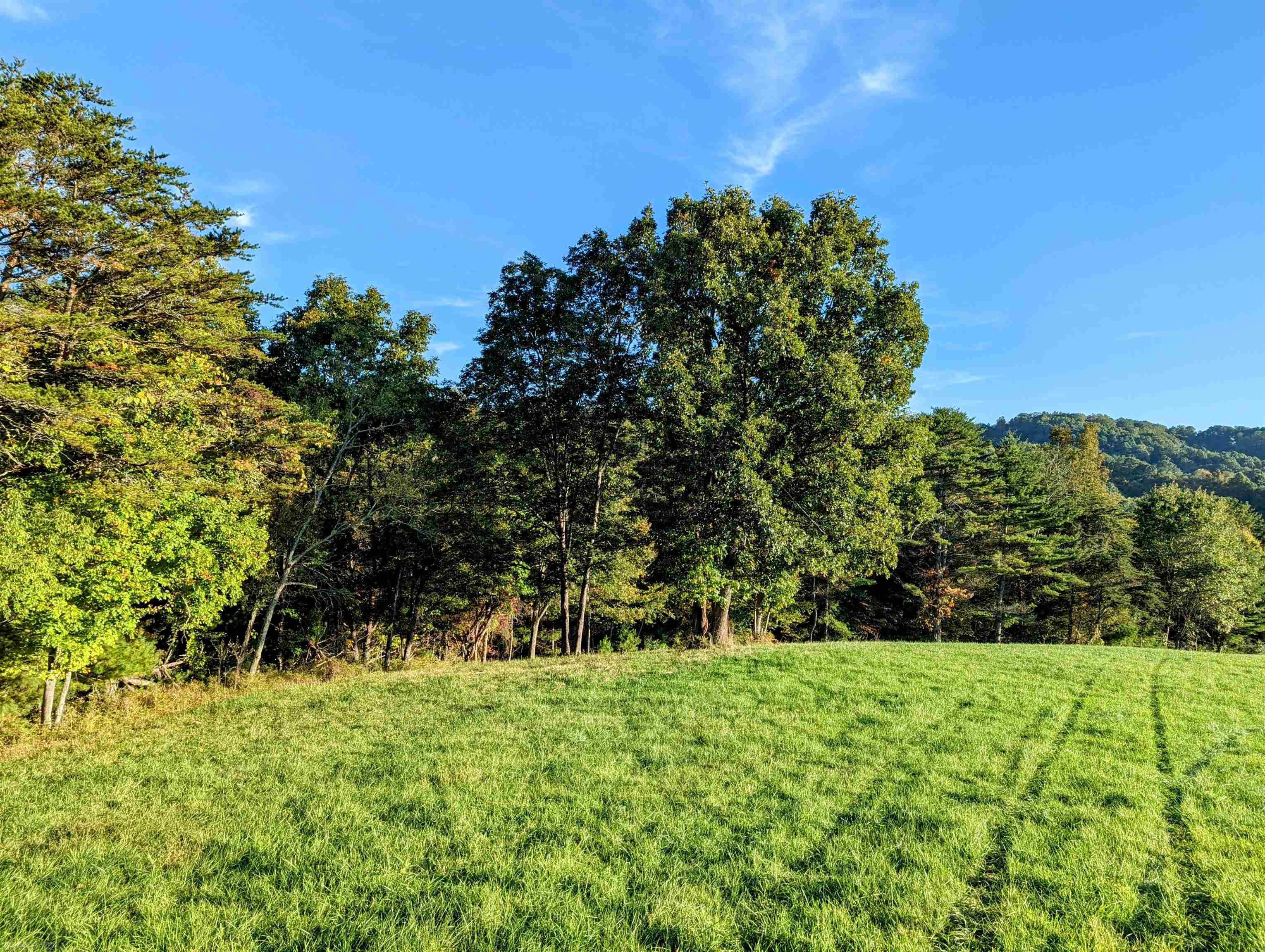 380 Laurel Creek Road Pilot VA 24138