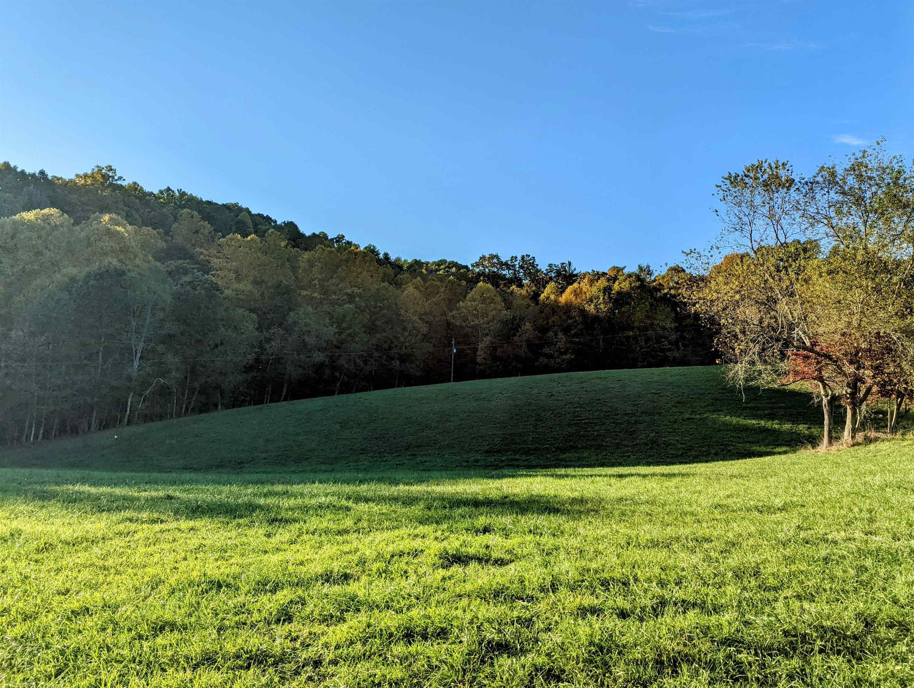 380 Laurel Creek Road Pilot VA 24138