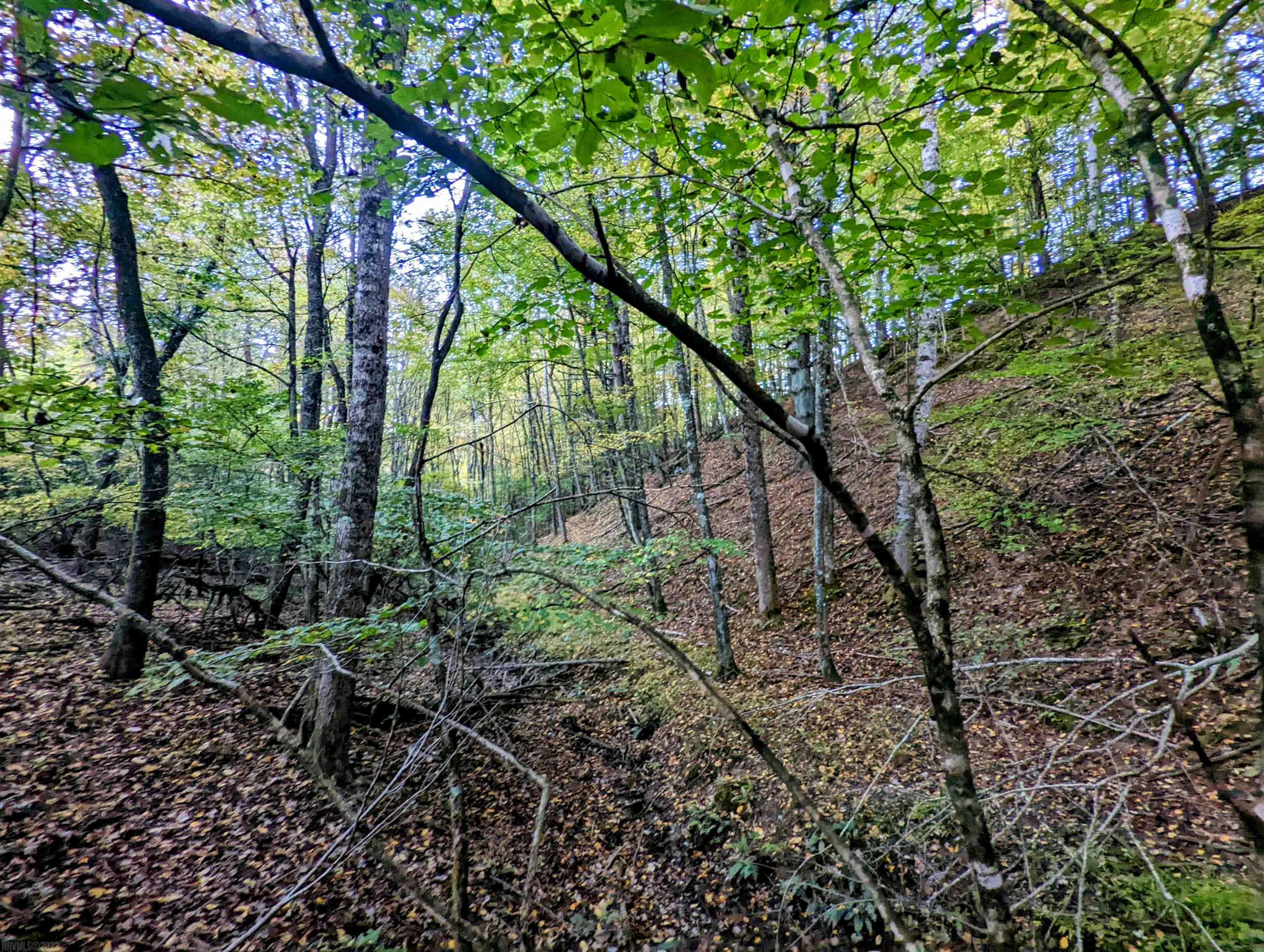 380 Laurel Creek Road Pilot VA 24138