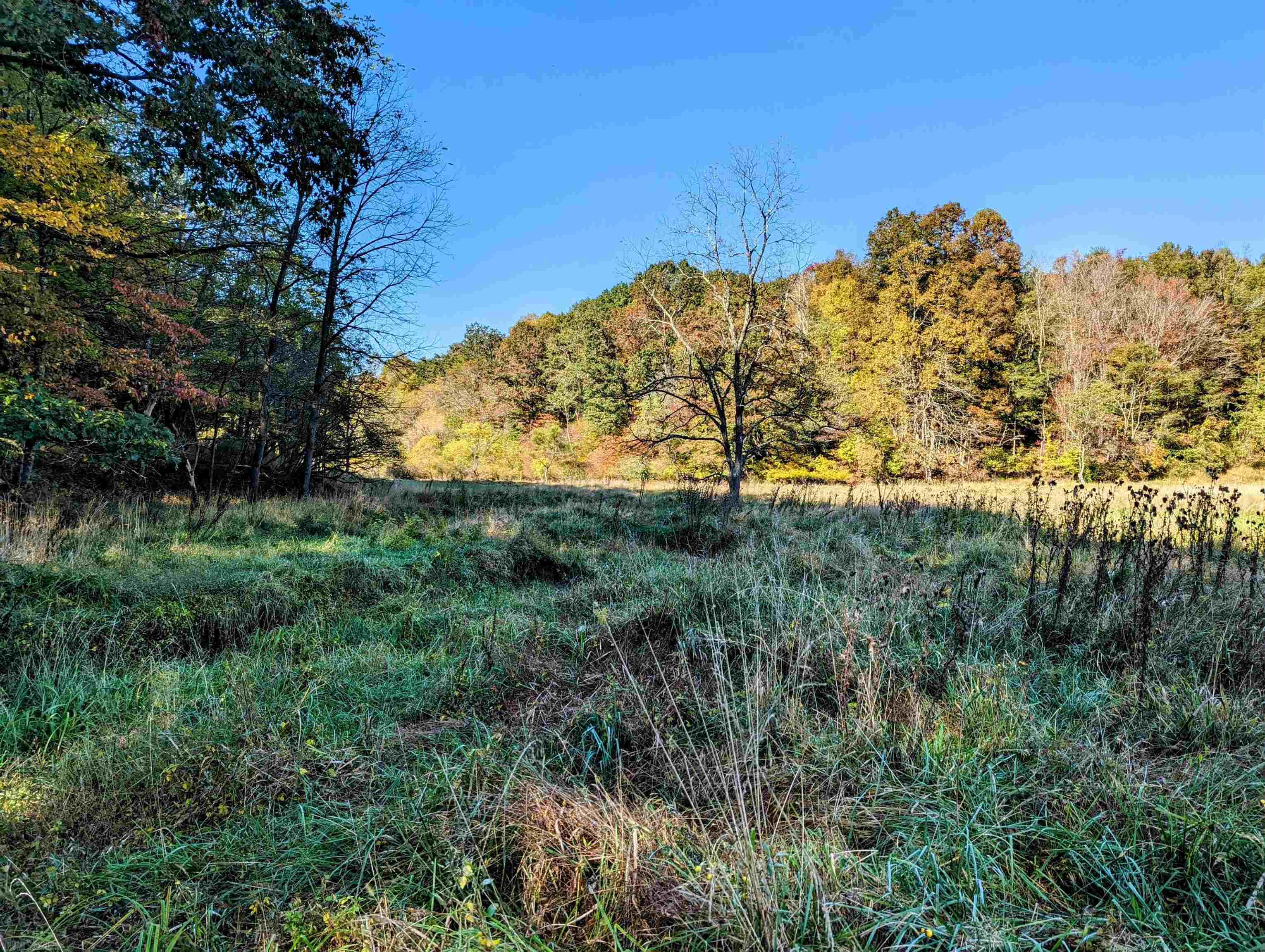 380 Laurel Creek Road Pilot VA 24138