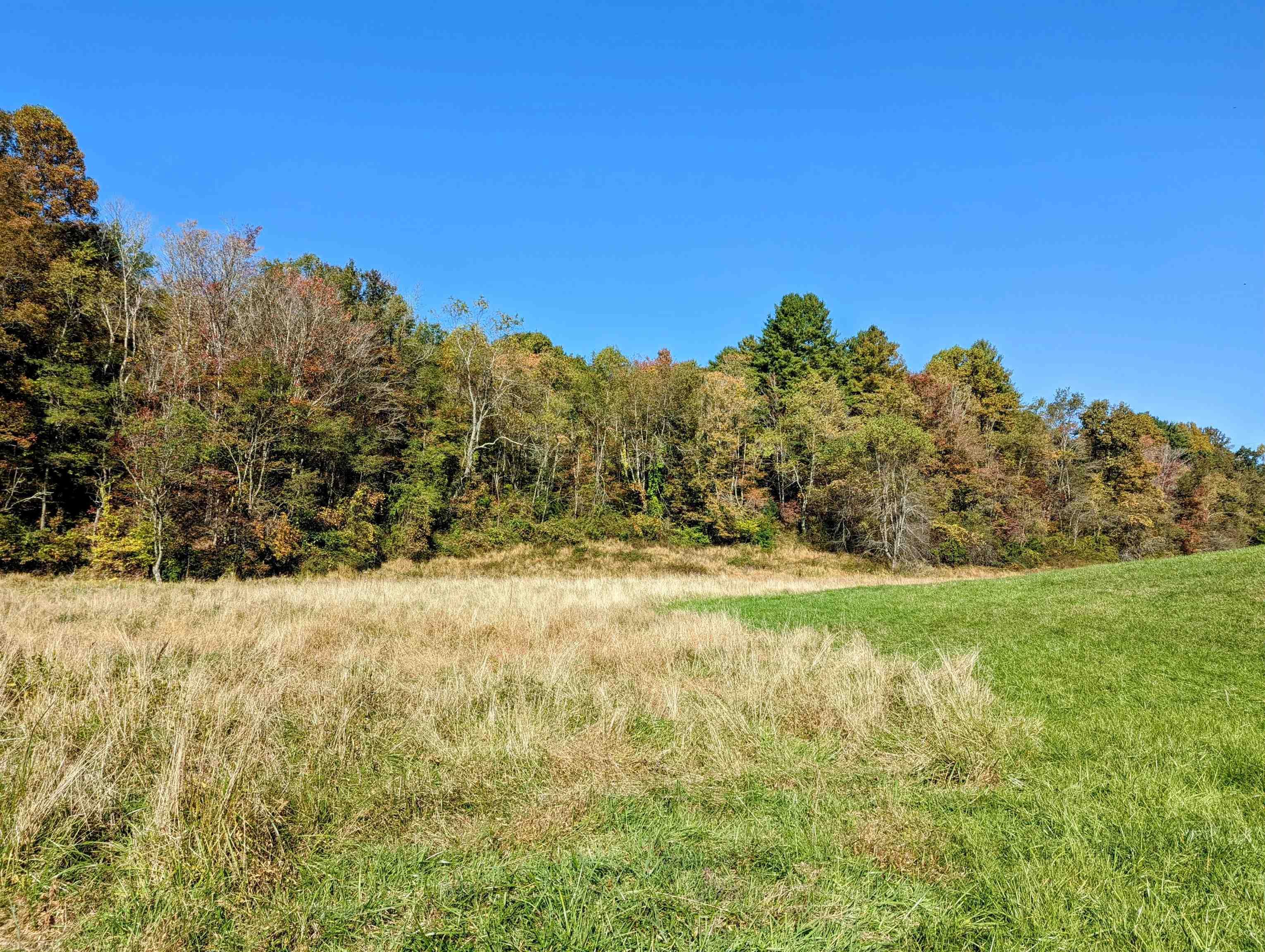 380 Laurel Creek Road Pilot VA 24138