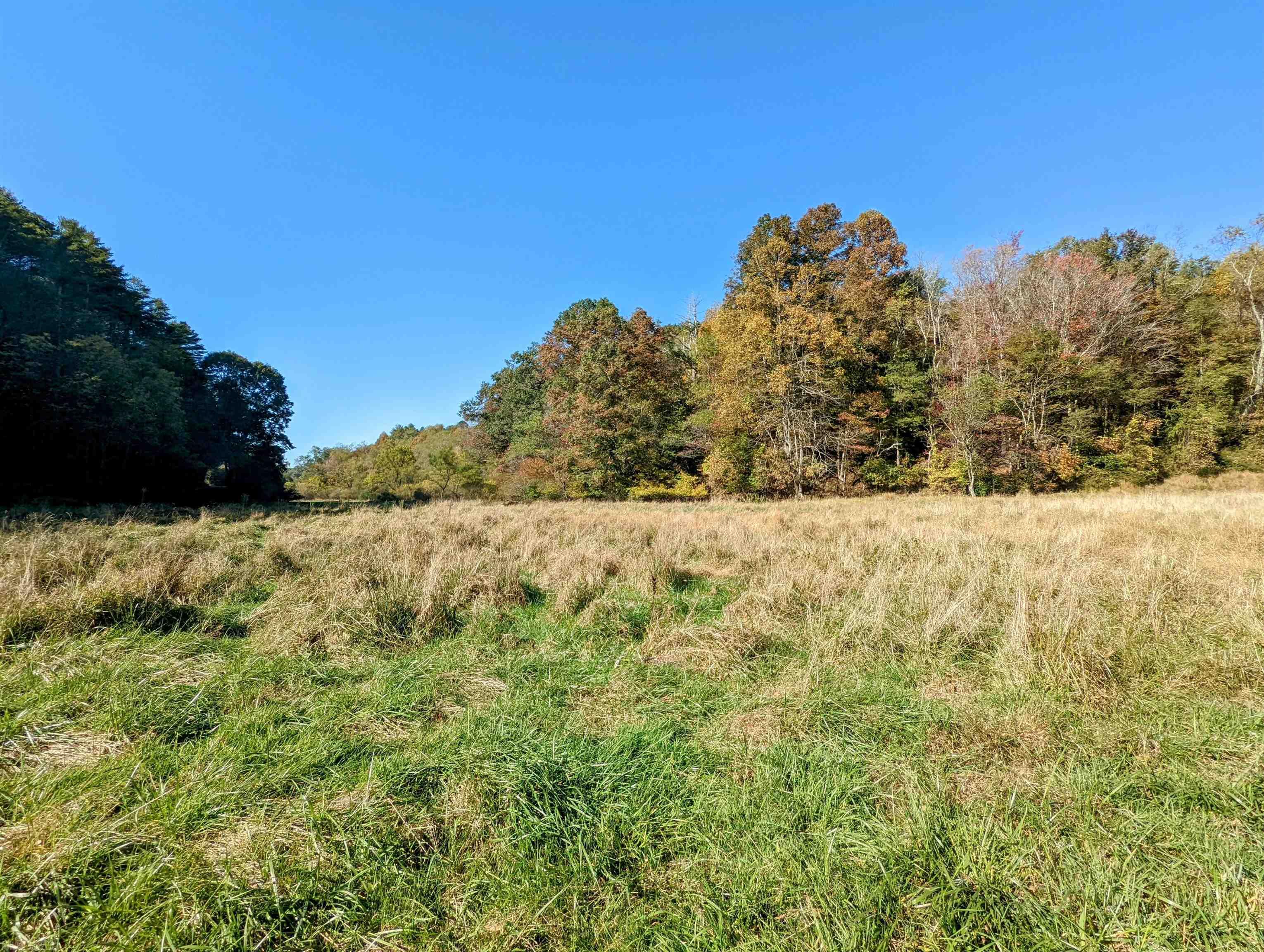 380 Laurel Creek Road Pilot VA 24138