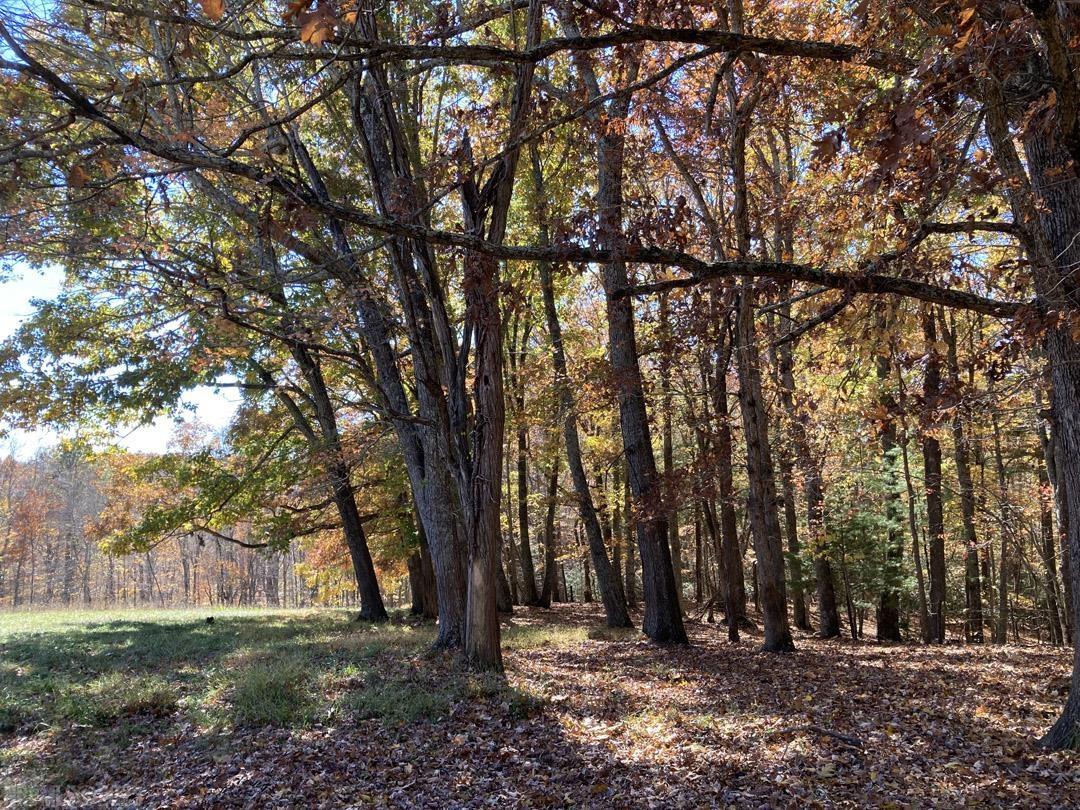 380 Laurel Creek Road Pilot VA 24138