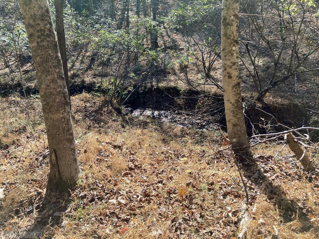 380 Laurel Creek Road Pilot VA 24138