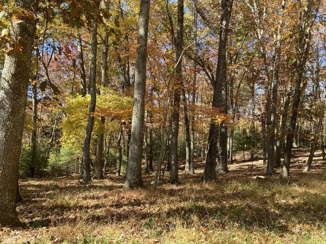 380 Laurel Creek Road Pilot VA 24138