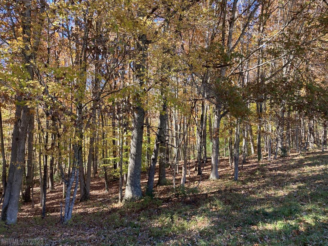 380 Laurel Creek Road Pilot VA 24138