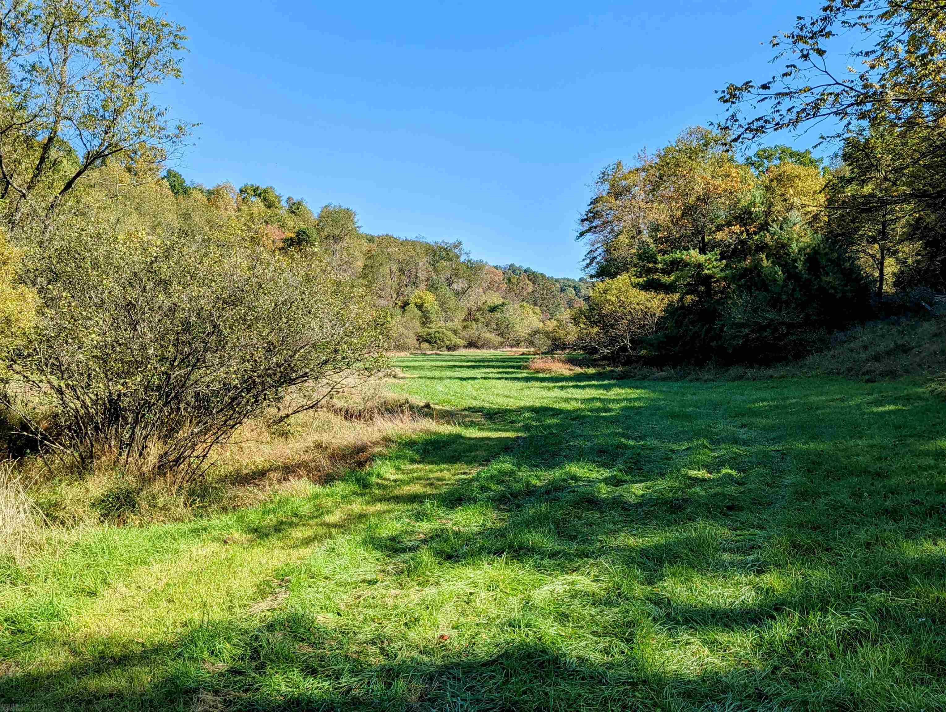 380 Laurel Creek Road Pilot VA 24138