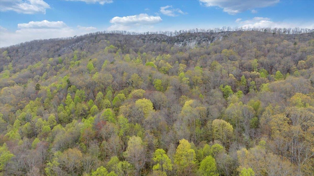 Tbd Parrott River Road Parrott VA 24132