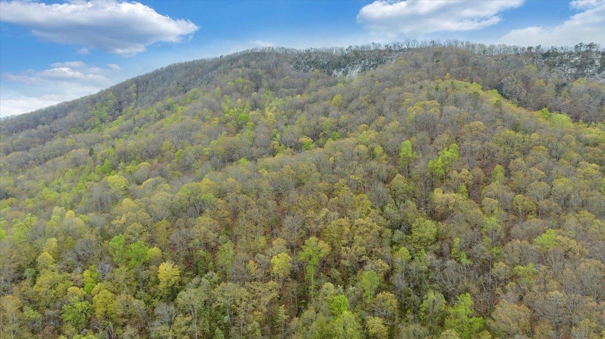 Tbd Parrott River Road Parrott VA 24132