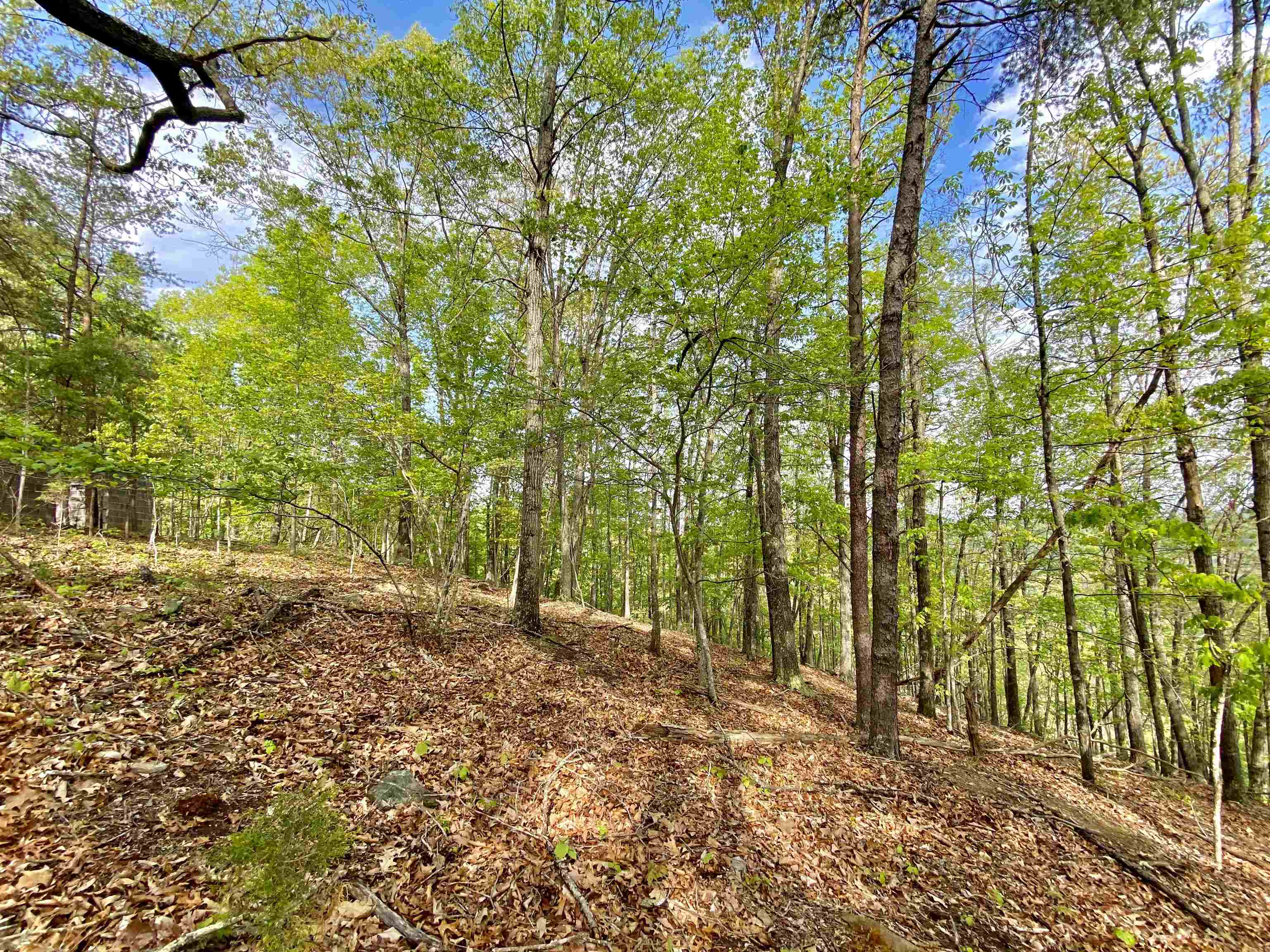 Tbd Night Hawk Drive Christiansburg VA 24073