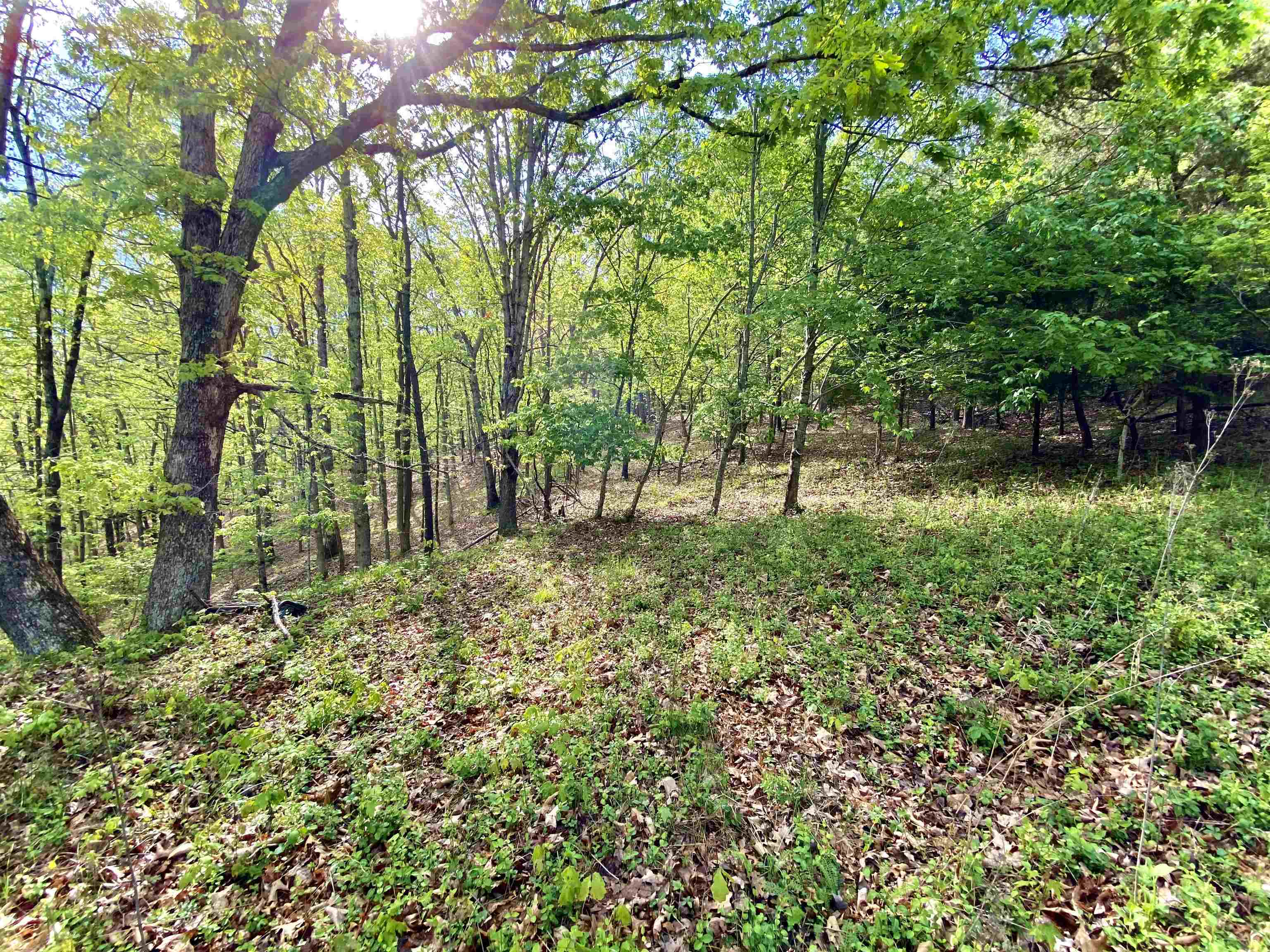 Tbd Night Hawk Drive Christiansburg VA 24073