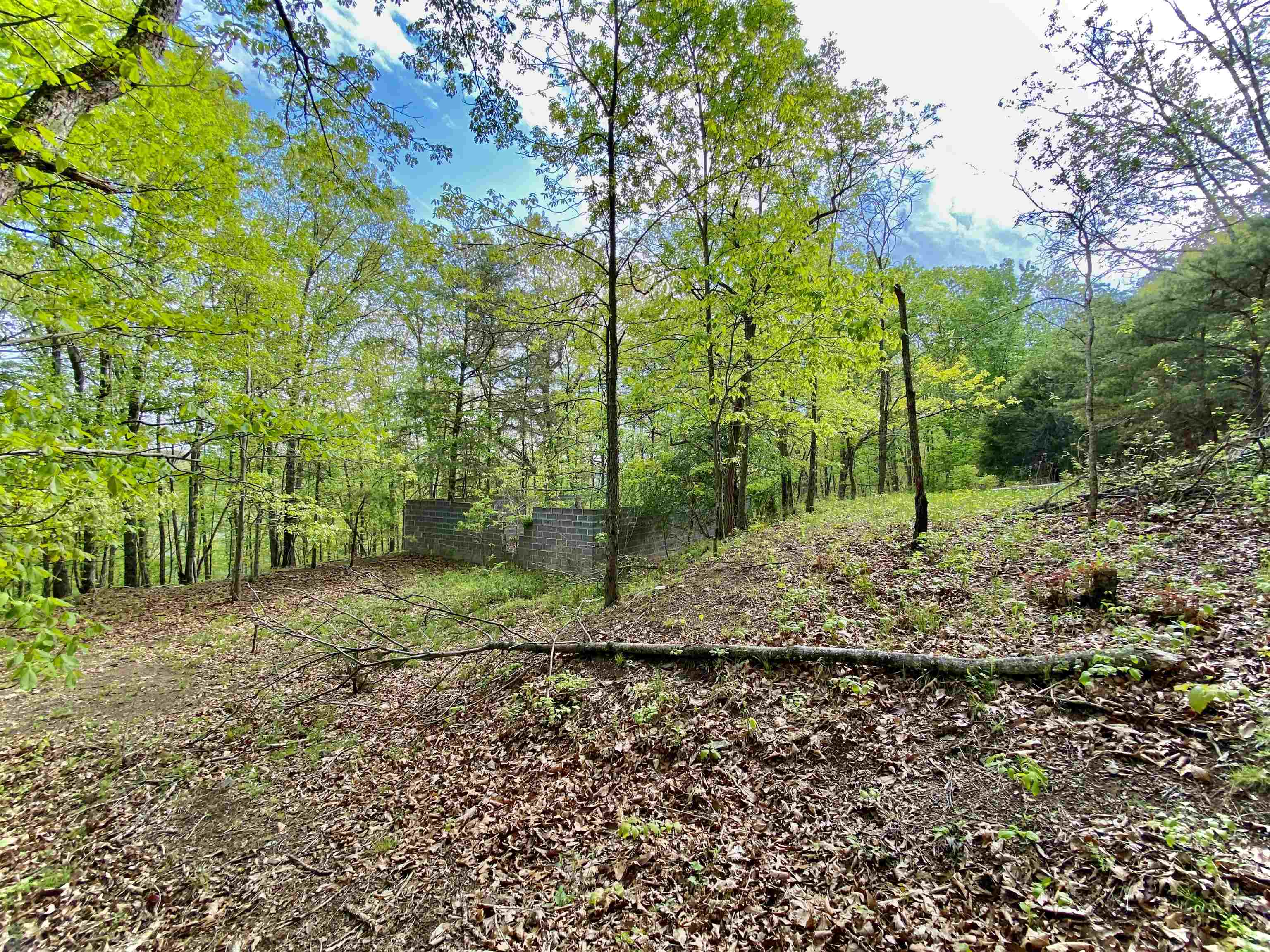 Tbd Night Hawk Drive Christiansburg VA 24073