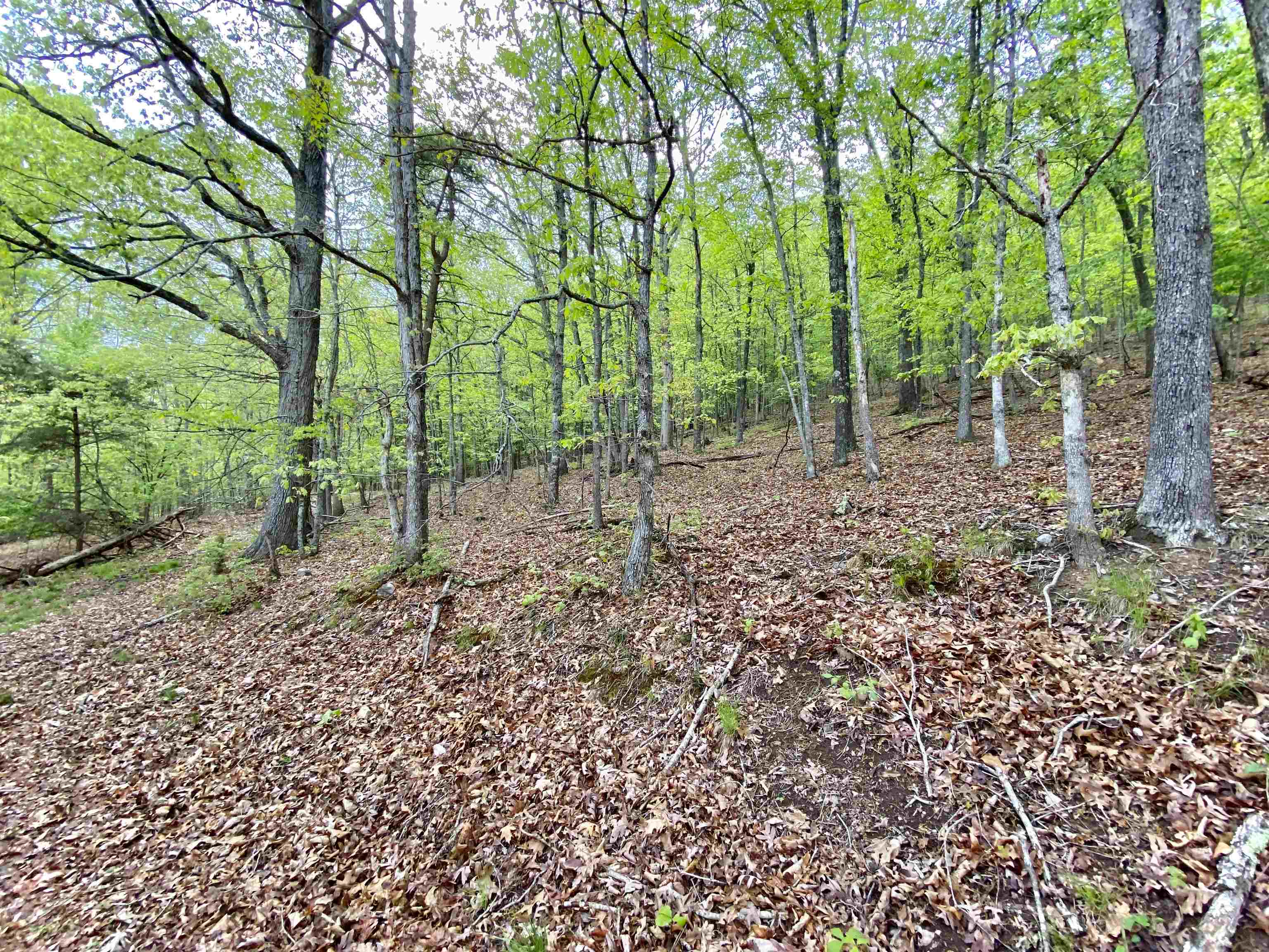 Tbd Night Hawk Drive Christiansburg VA 24073